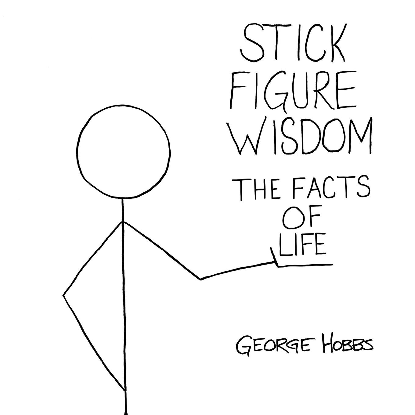 Vorderes Coverbild Stick Figure Wisdom