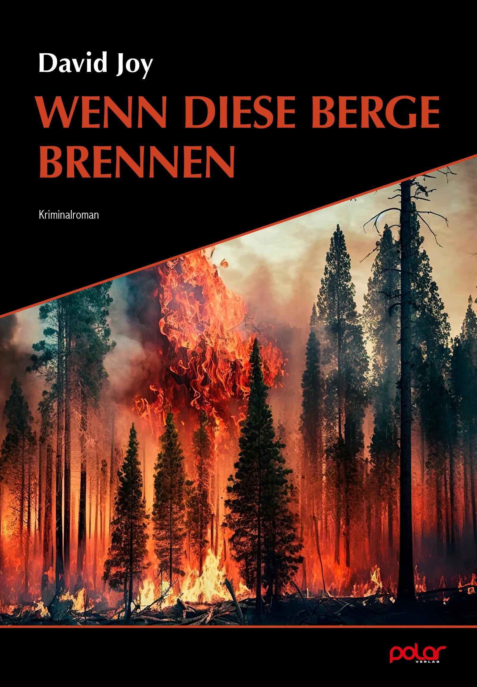 Vorderes Coverbild Wenn diese Berge brennen