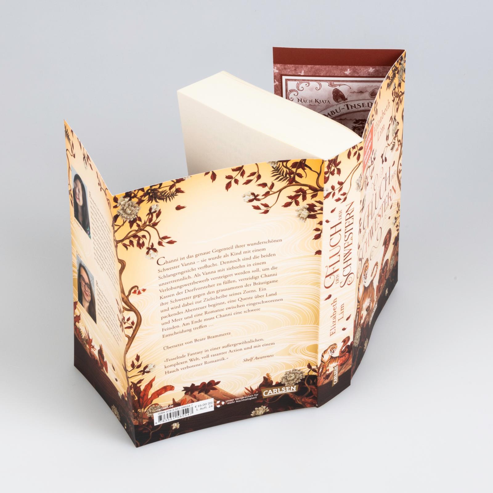 Beispielinhalt (Bild) Der Fluch der Schwestern (Die sechs Kraniche 0)