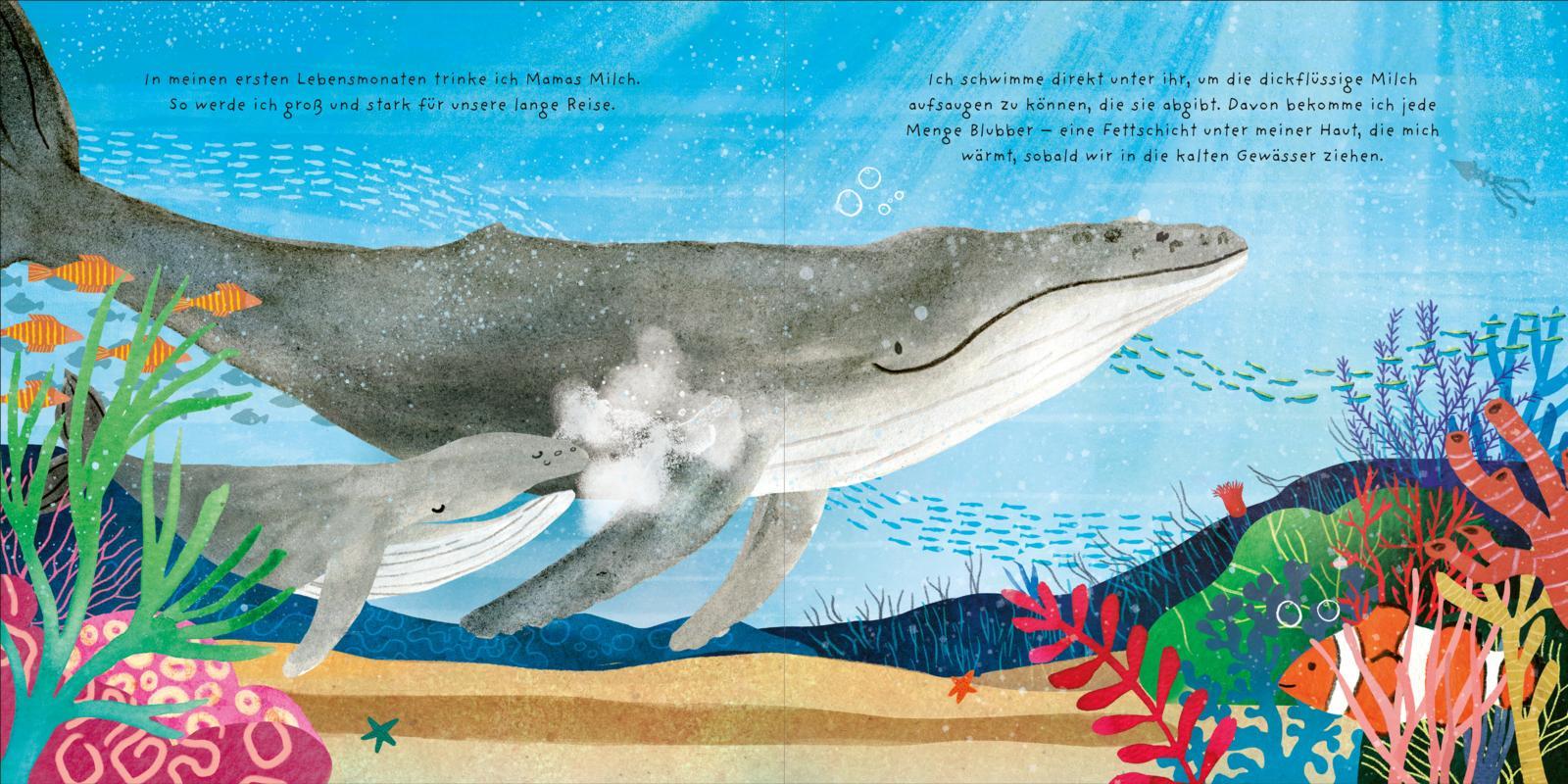 Beispielinhalt (Bild) Kleine Tiere werden groß - Der Wal