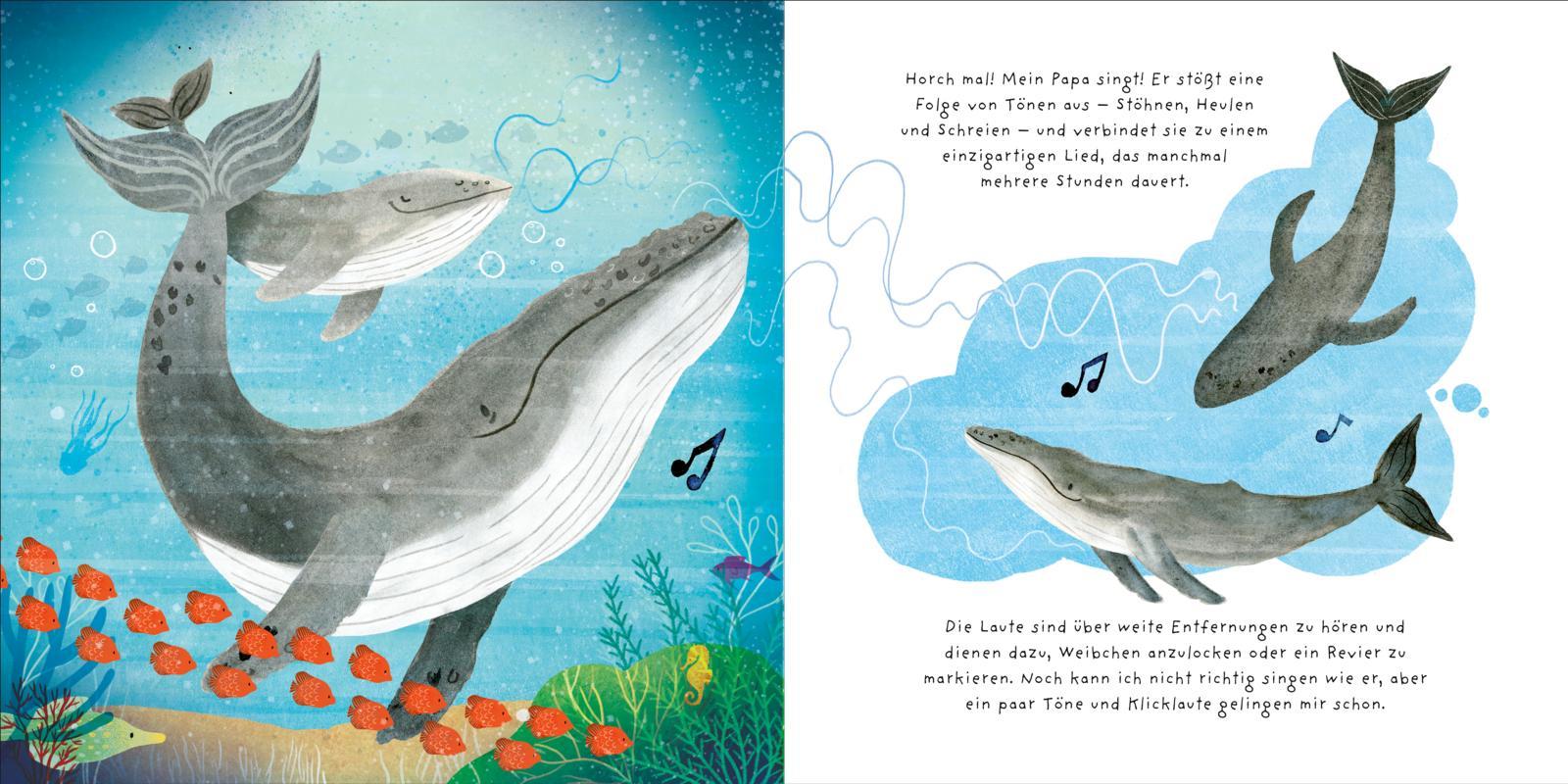 Beispielinhalt (Bild) Kleine Tiere werden groß - Der Wal