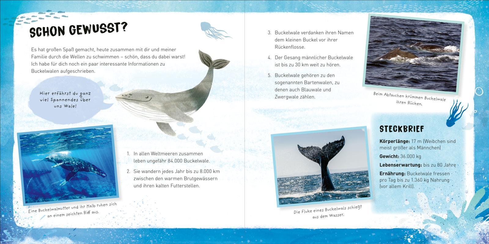 Beispielinhalt (Bild) Kleine Tiere werden groß - Der Wal