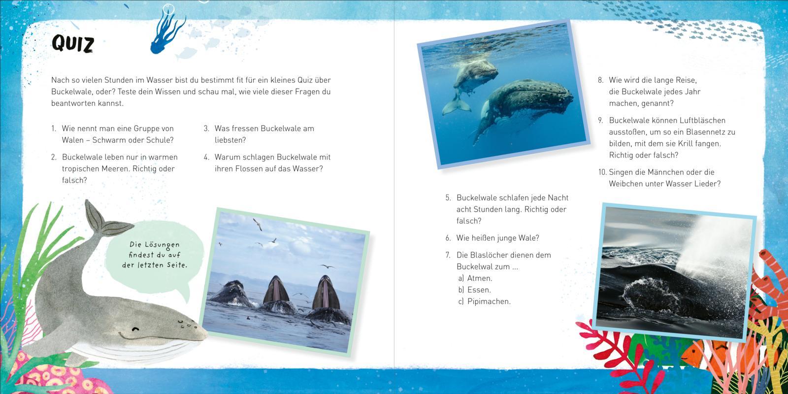 Beispielinhalt (Bild) Kleine Tiere werden groß - Der Wal