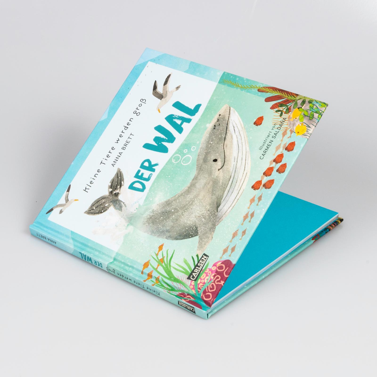 Beispielinhalt (Bild) Kleine Tiere werden groß - Der Wal