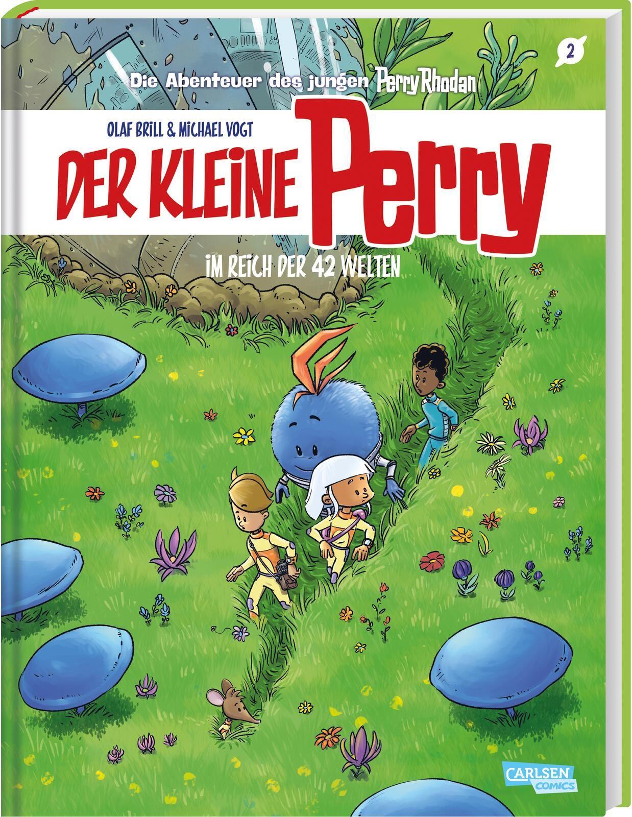 Vorderes Coverbild Der kleine Perry 2: Im Reich der 42 Welten