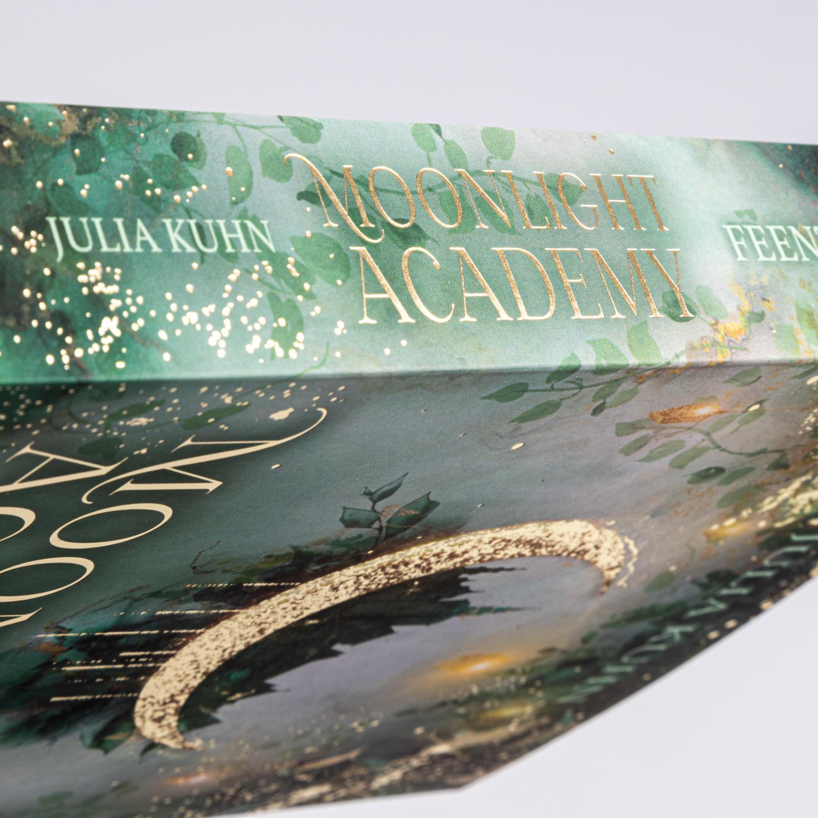 Beispielinhalt (Bild) Moonlight Academy. Feenzauber