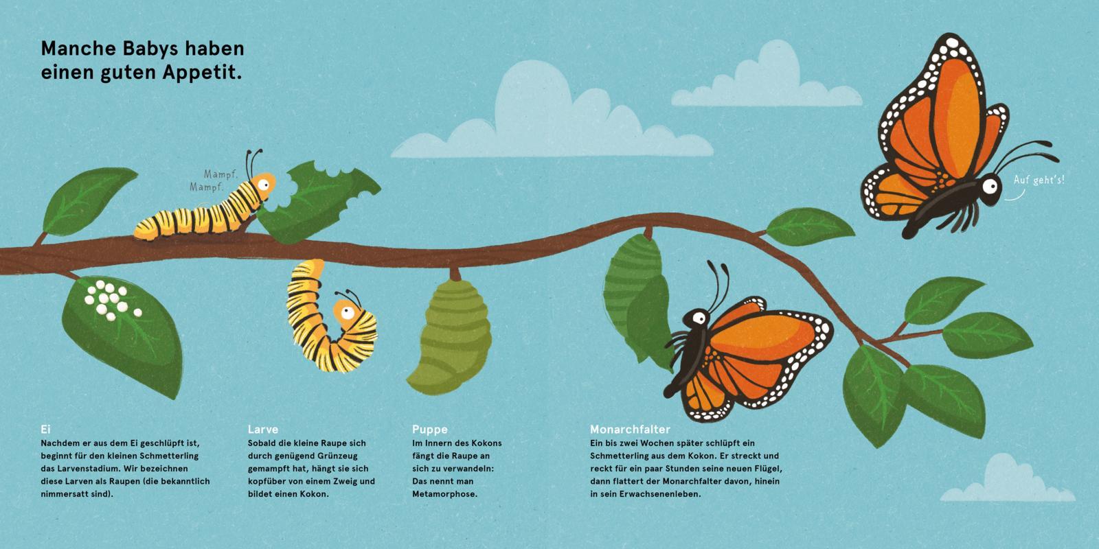 Beispielinhalt (Bild) Wilde Babys