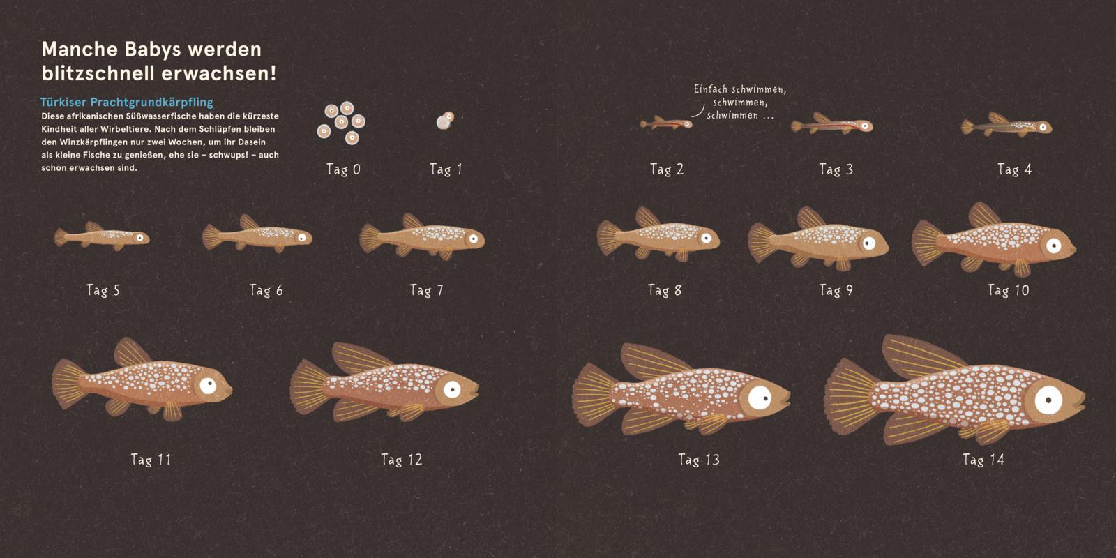 Beispielinhalt (Bild) Wilde Babys