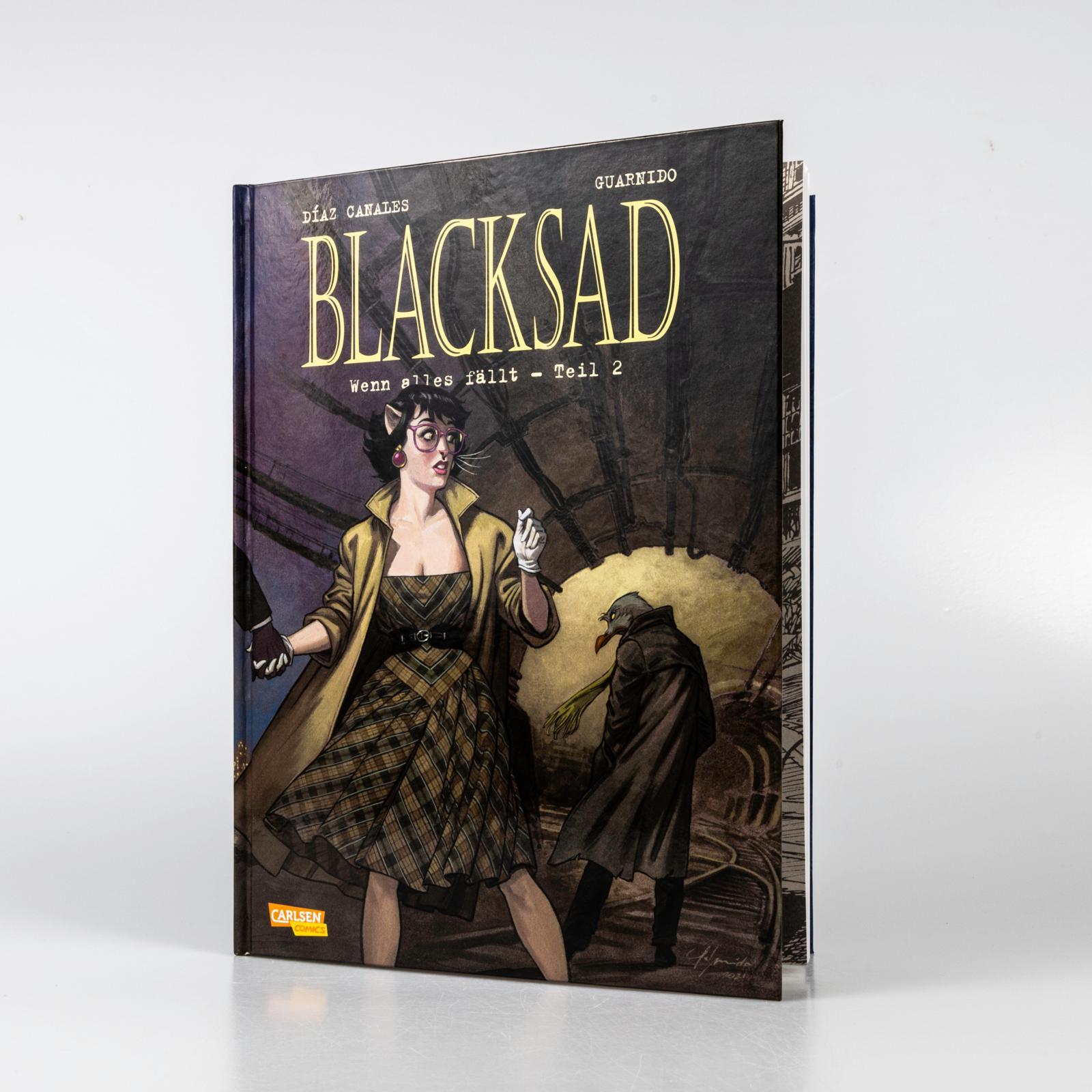 Beispielinhalt (Bild) Blacksad 7: Wenn alles fällt - Teil 2