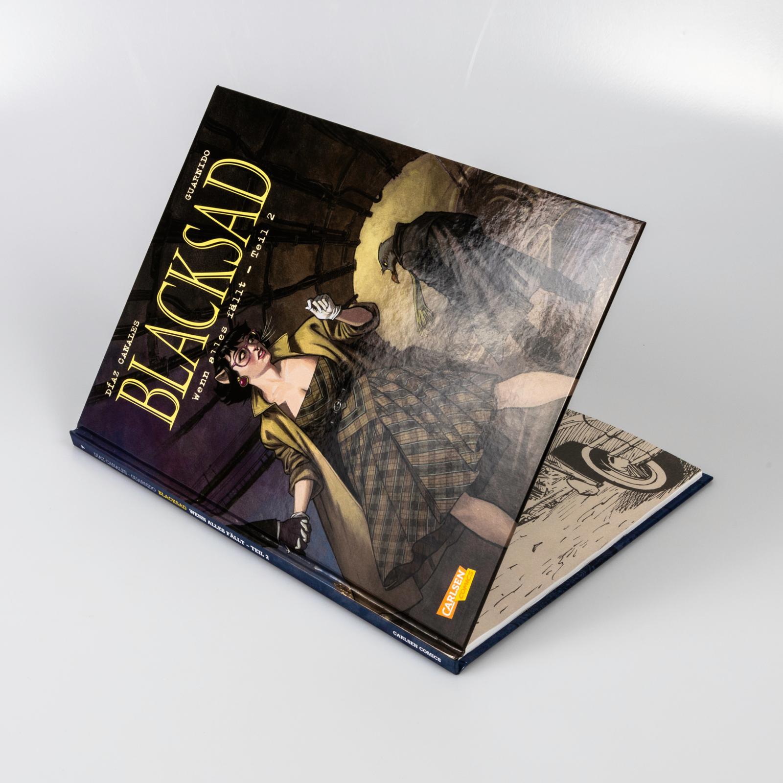 Beispielinhalt (Bild) Blacksad 7: Wenn alles fällt - Teil 2