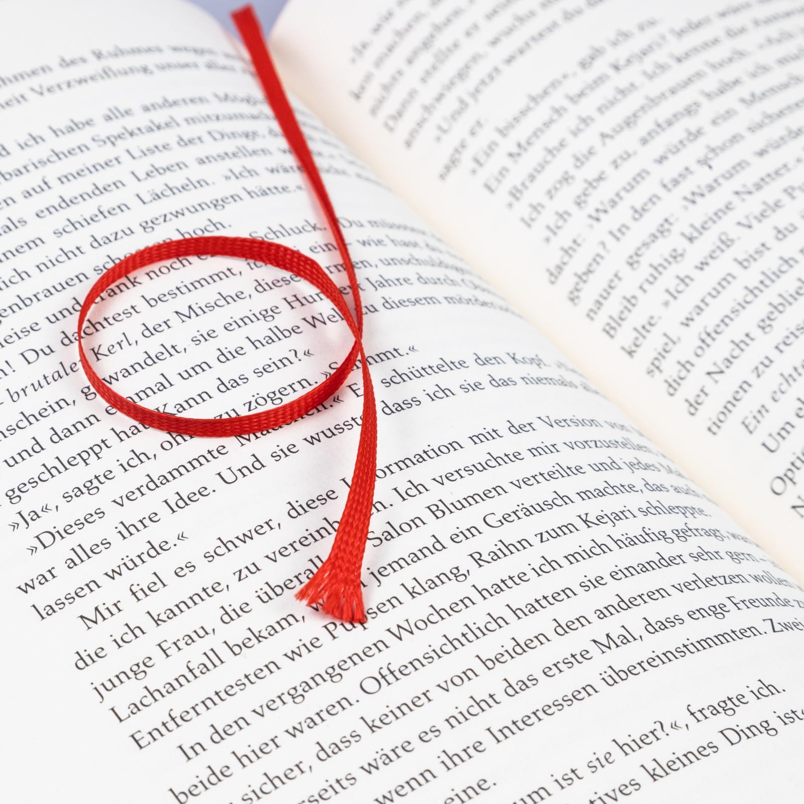 Beispielinhalt (Bild) The Serpent and the Wings of Night (Crowns of Nyaxia 1)