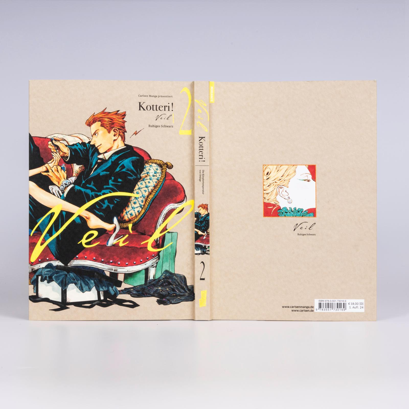 Beispielinhalt (Bild) VEIL 2