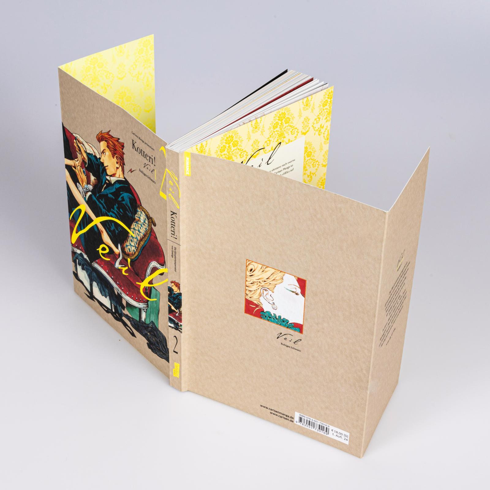 Beispielinhalt (Bild) VEIL 2