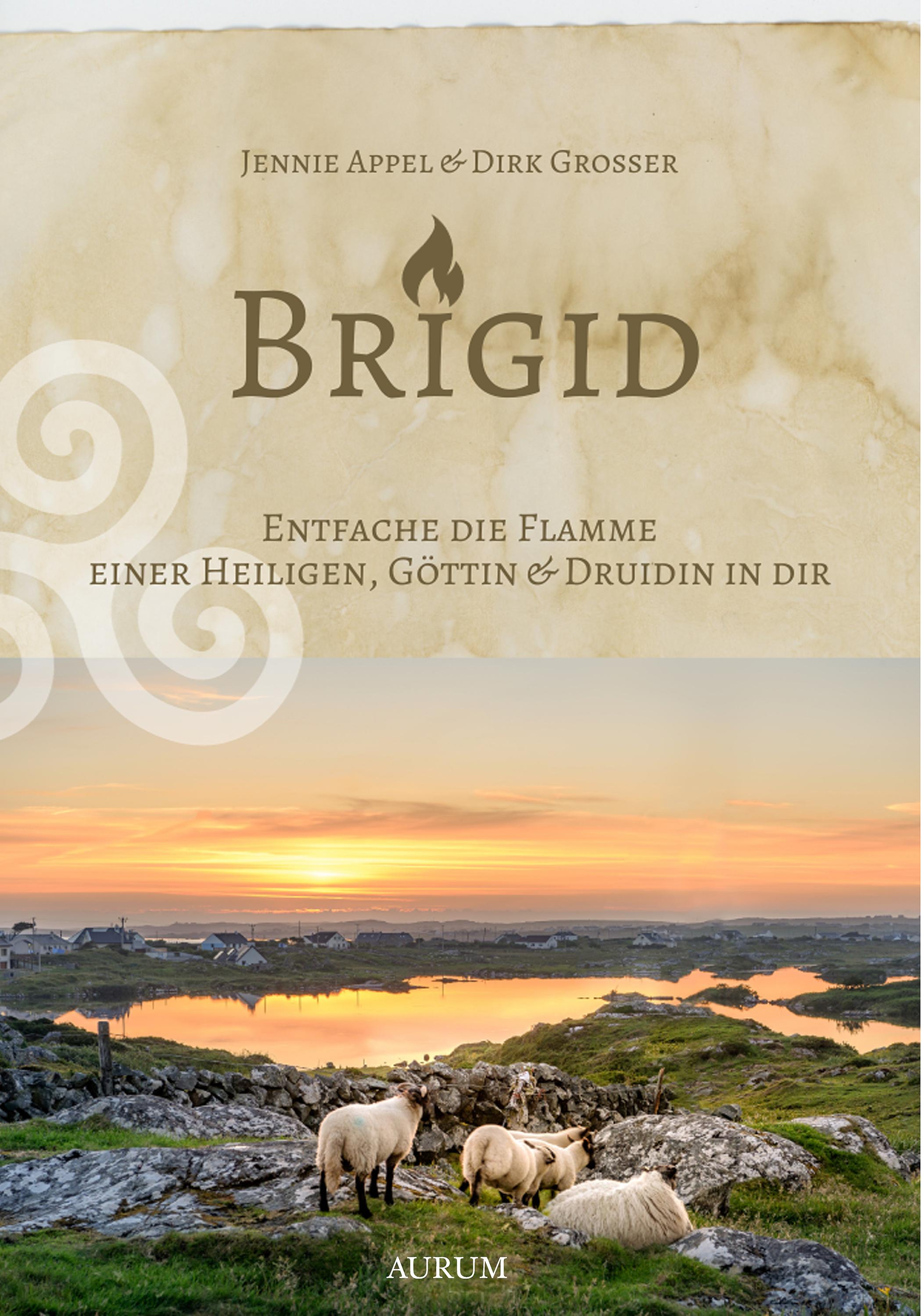 Vorderes Coverbild Brigid