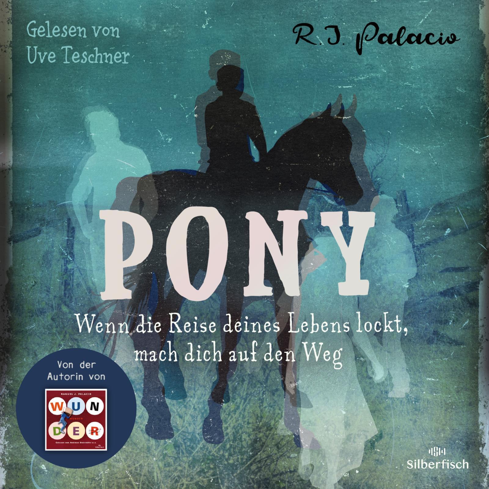 Vorderes Coverbild Pony
