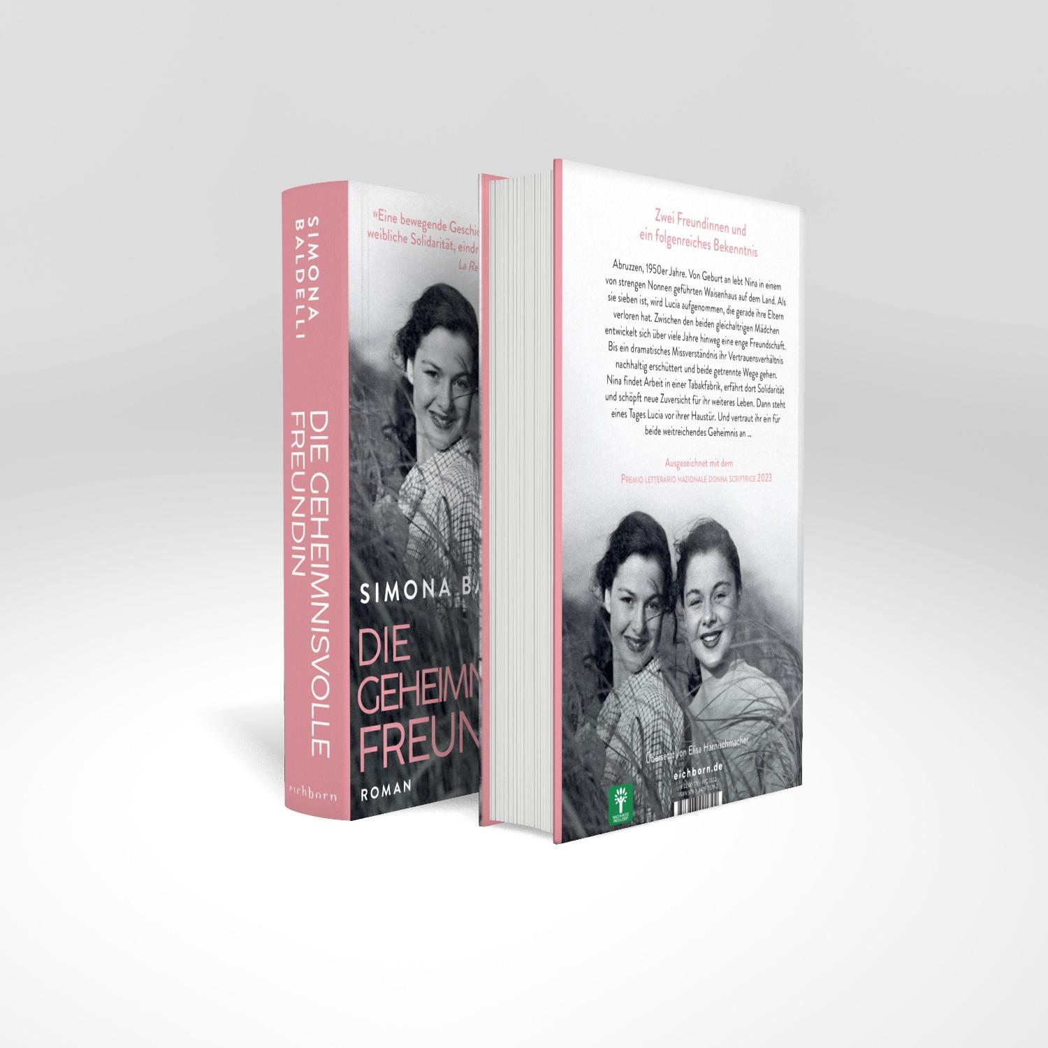 Beispielinhalt (Bild) Die geheimnisvolle Freundin