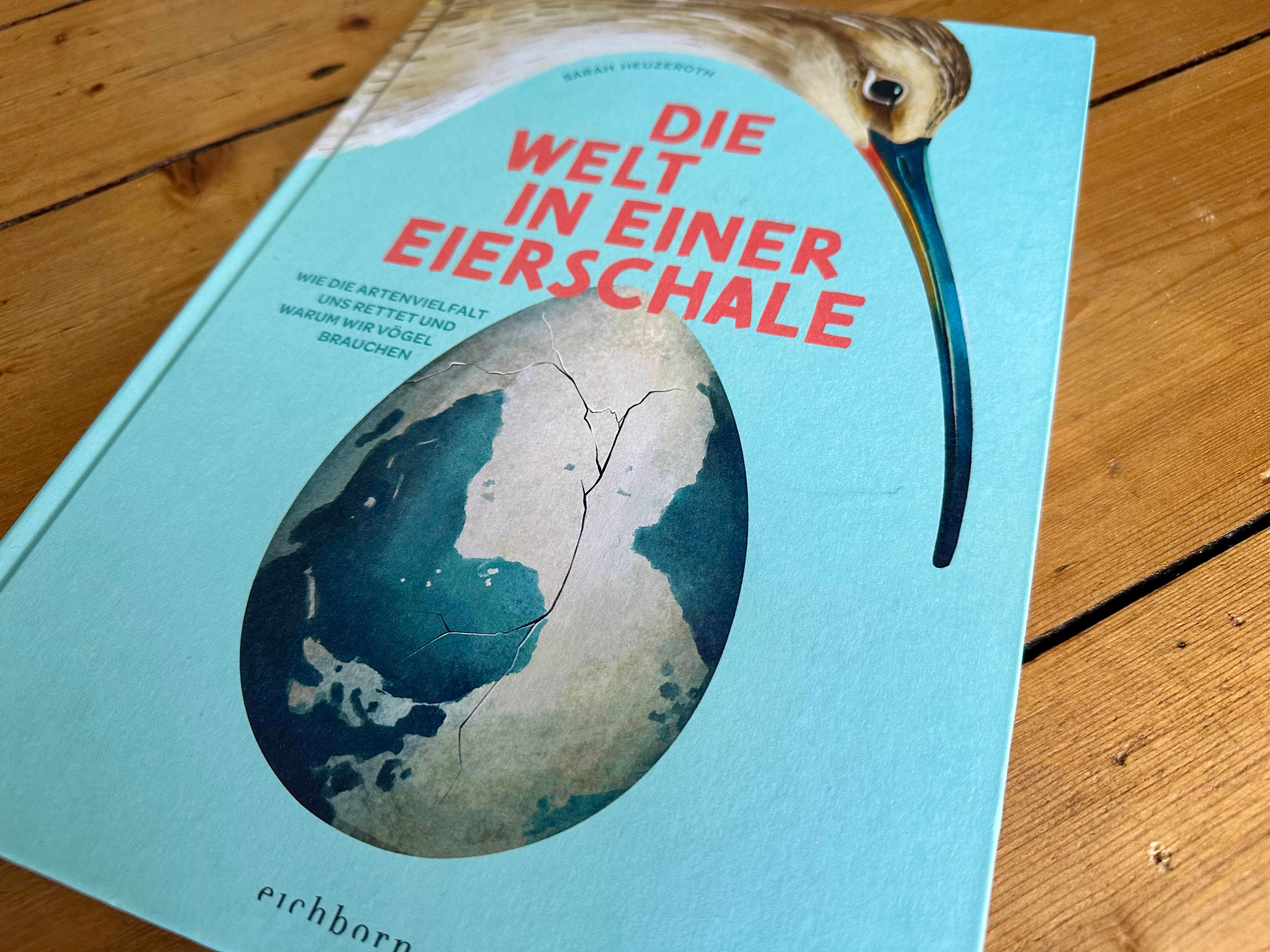 Beispielinhalt (Bild) Die Welt in einer Eierschale