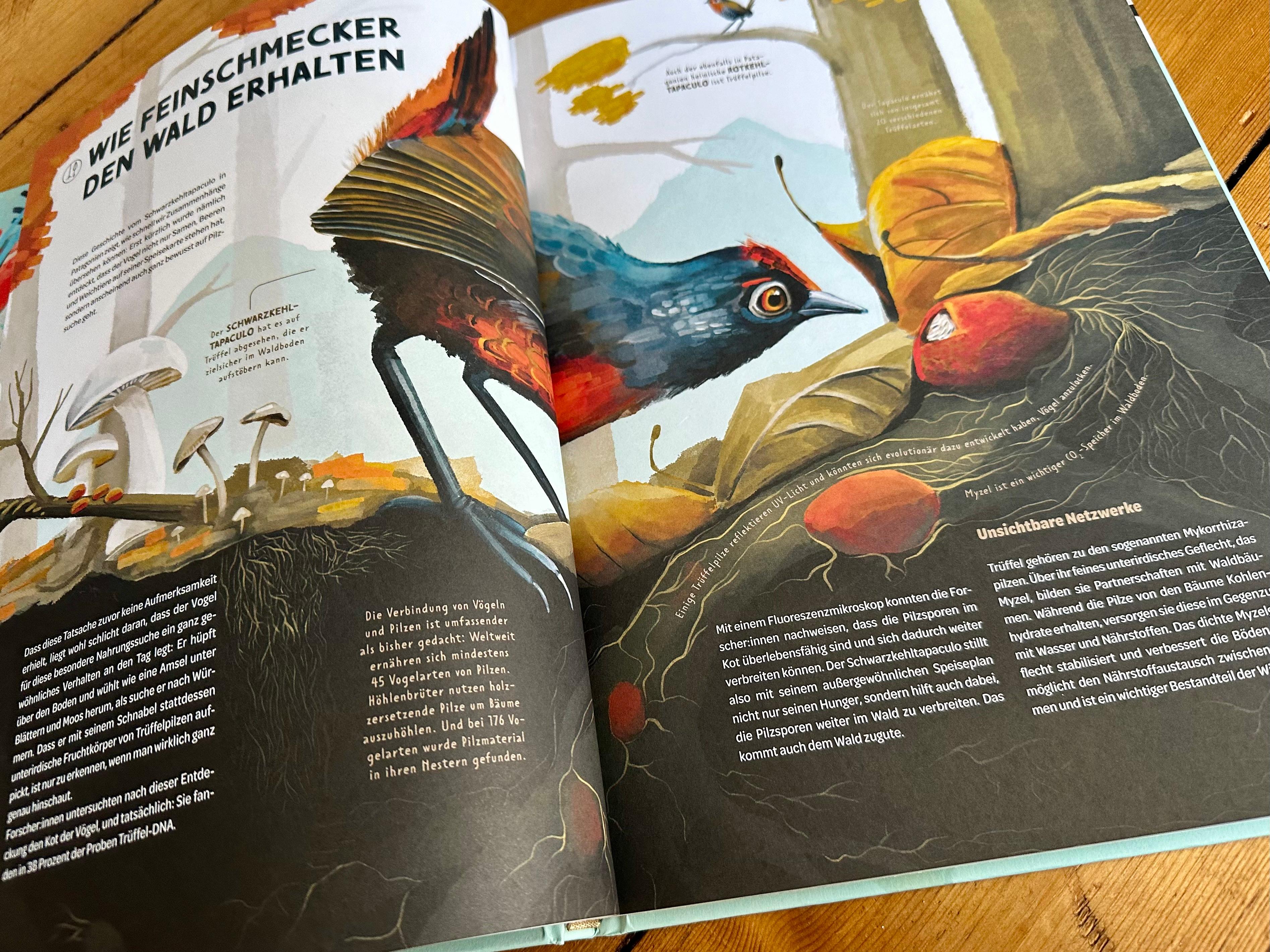 Beispielinhalt (Bild) Die Welt in einer Eierschale