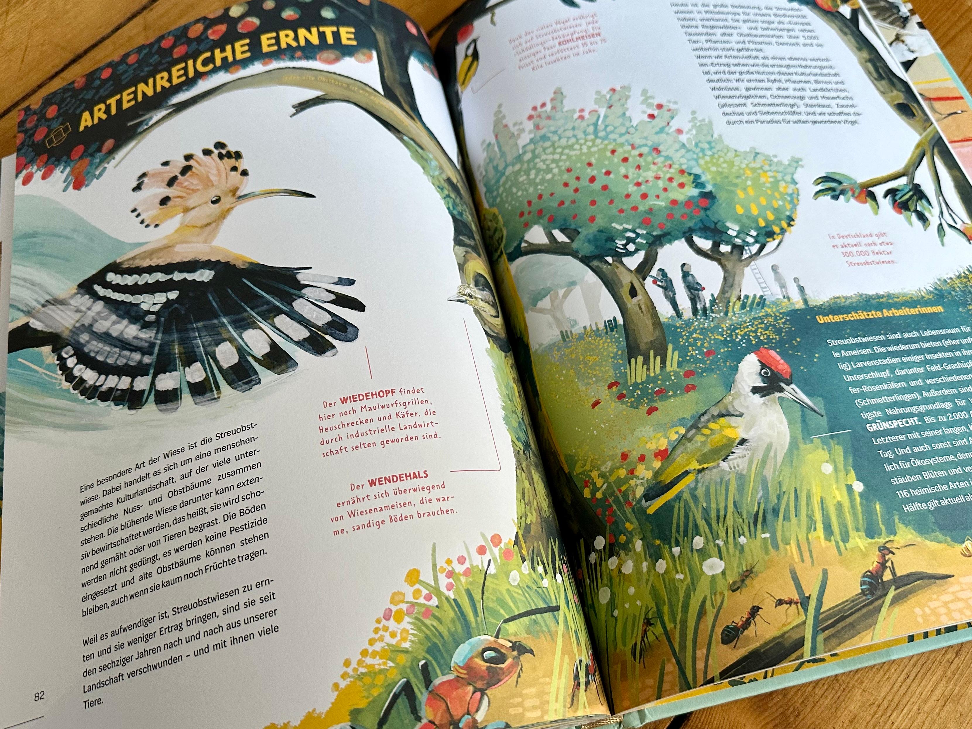 Beispielinhalt (Bild) Die Welt in einer Eierschale