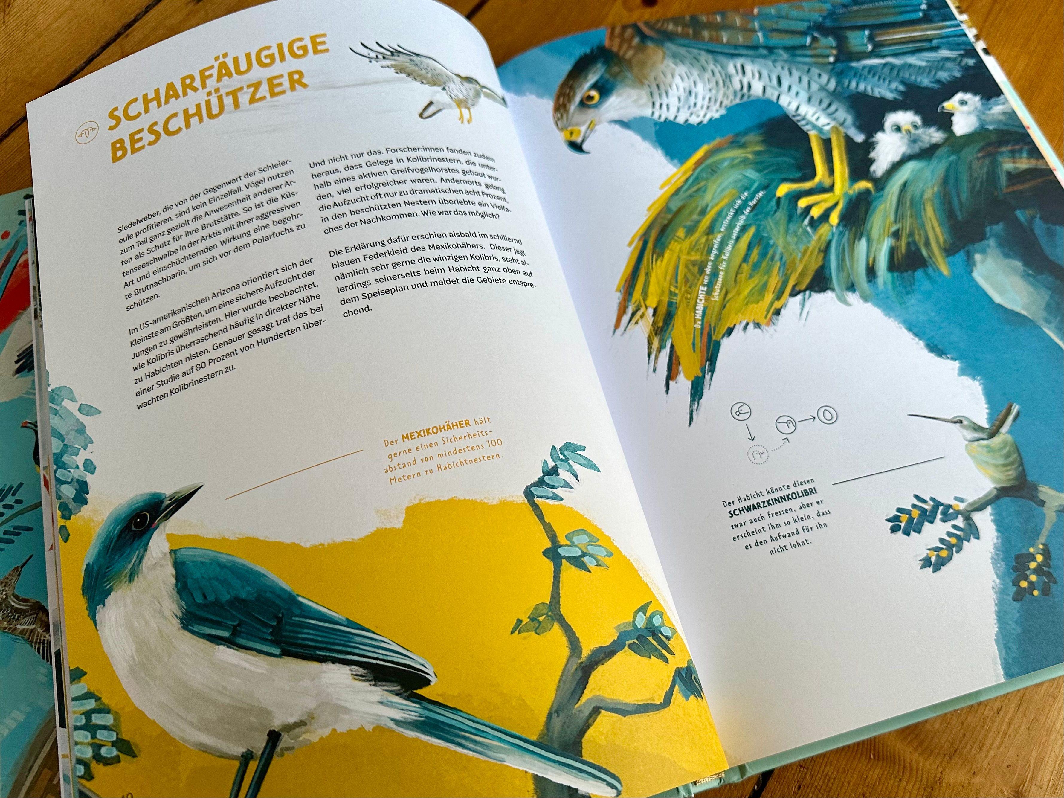 Beispielinhalt (Bild) Die Welt in einer Eierschale