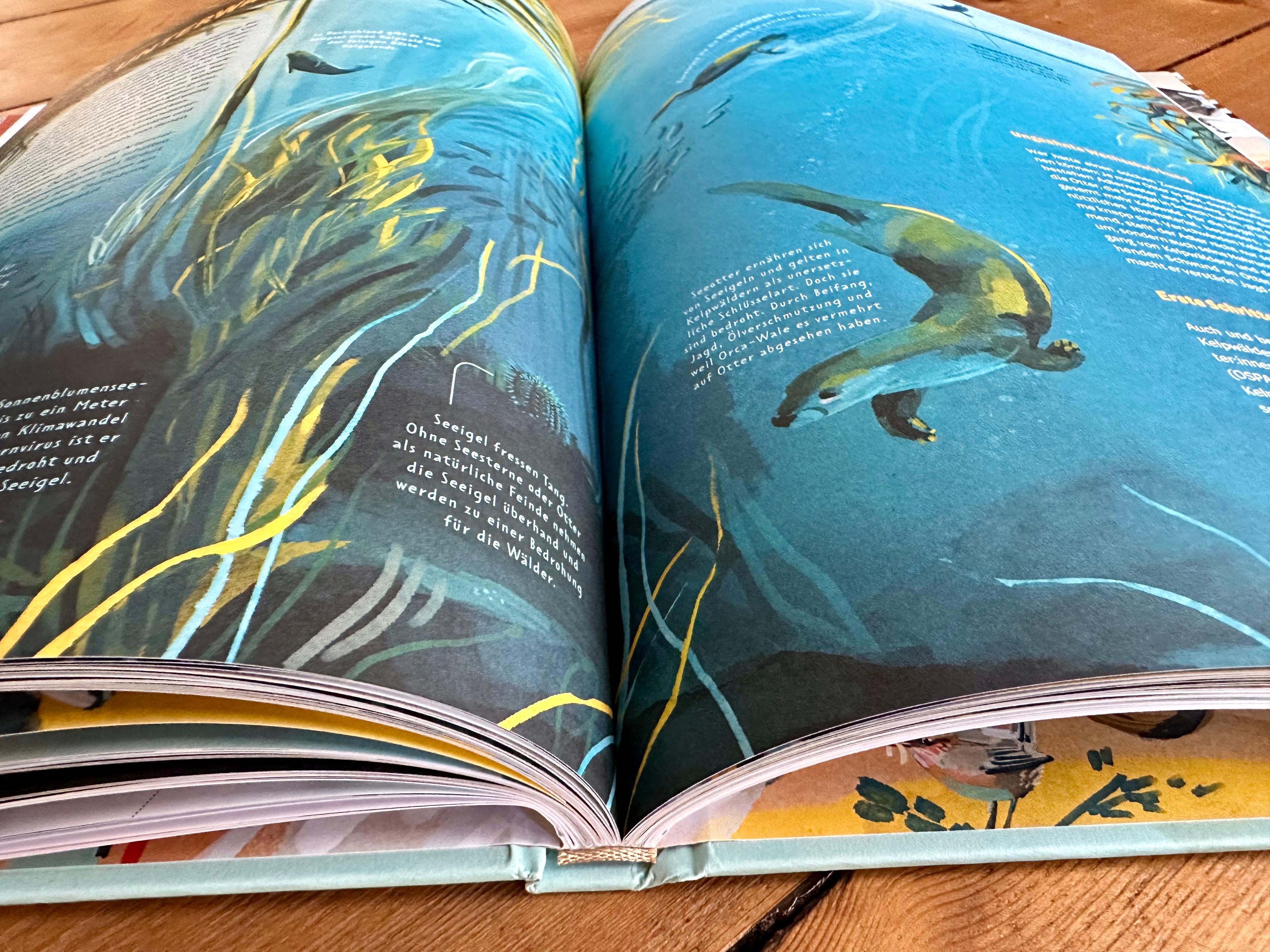 Beispielinhalt (Bild) Die Welt in einer Eierschale