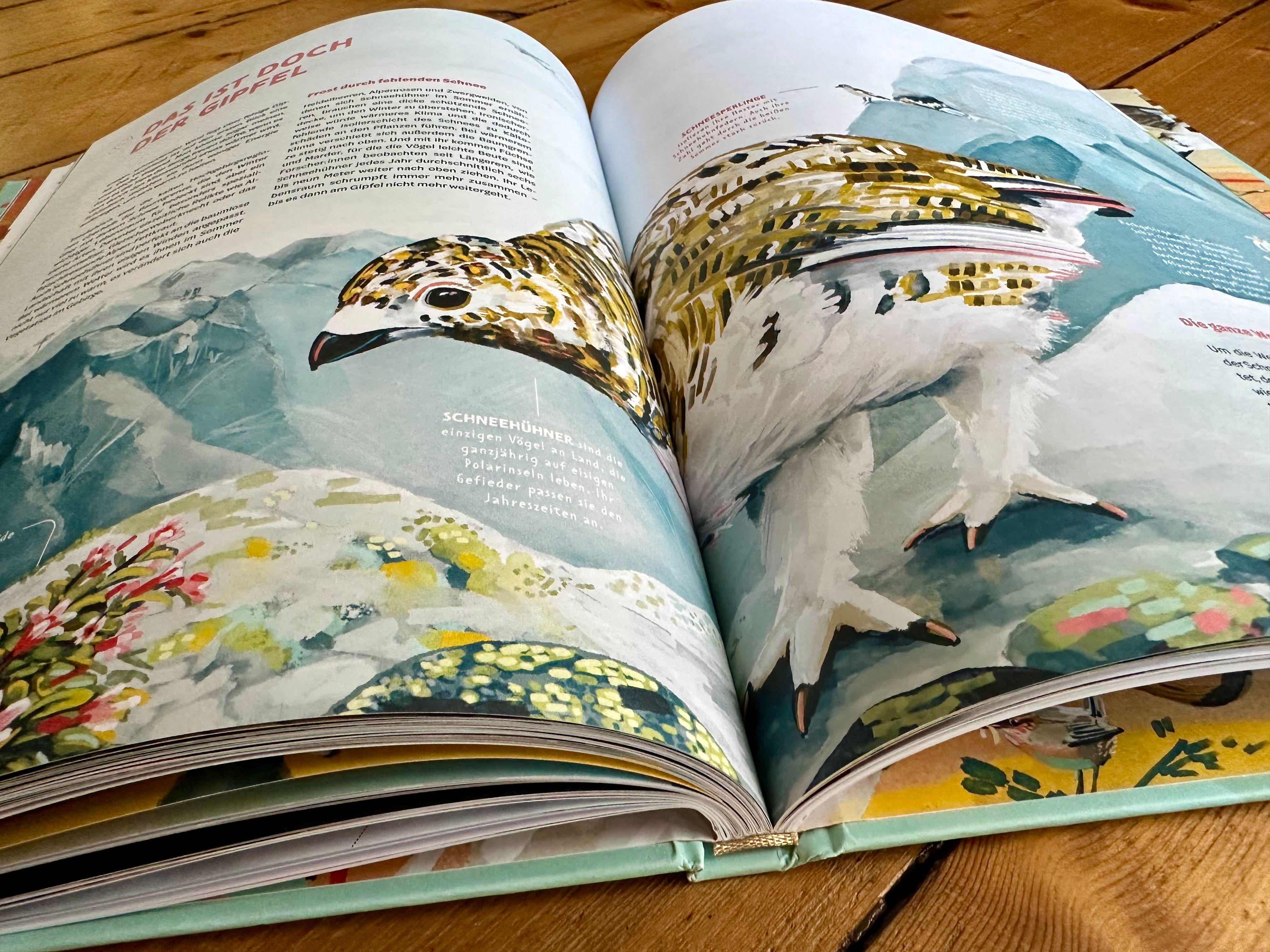 Beispielinhalt (Bild) Die Welt in einer Eierschale