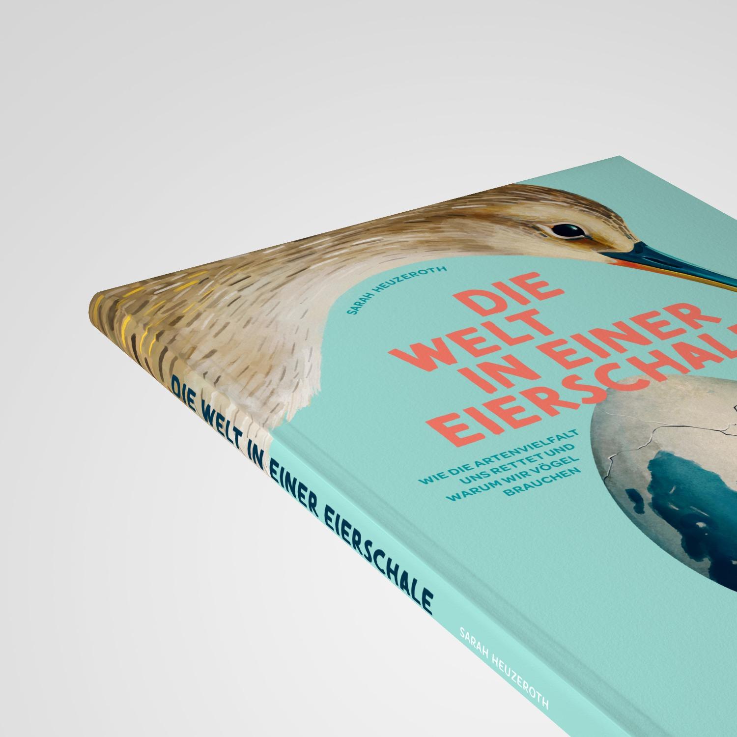 Beispielinhalt (Bild) Die Welt in einer Eierschale