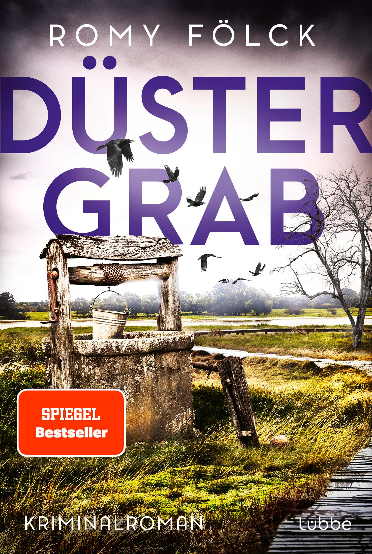 Vorderes Coverbild Düstergrab