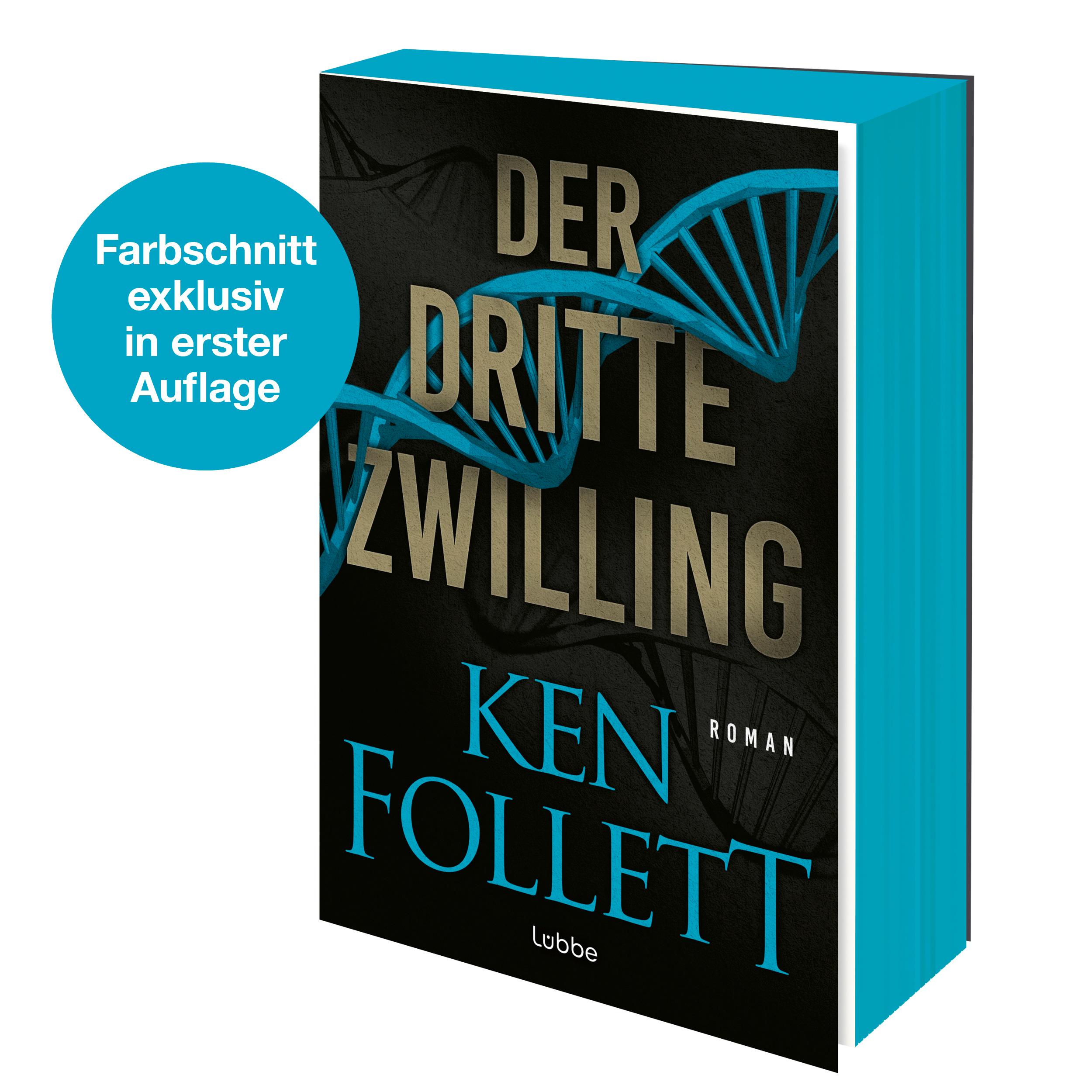 Beispielinhalt (Bild) Der dritte Zwilling
