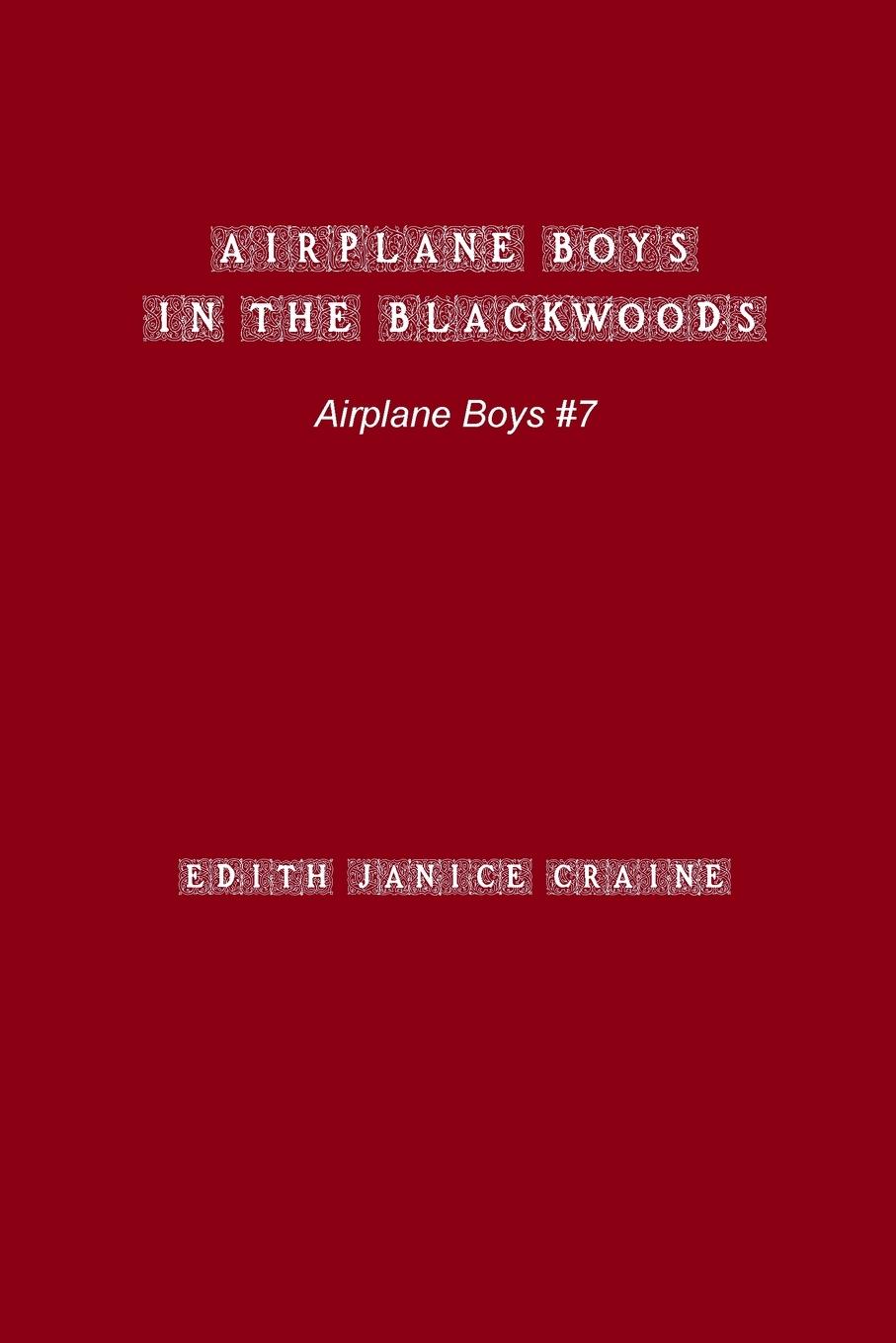 Vorderes Coverbild Airplane Boys in the Blackwoods