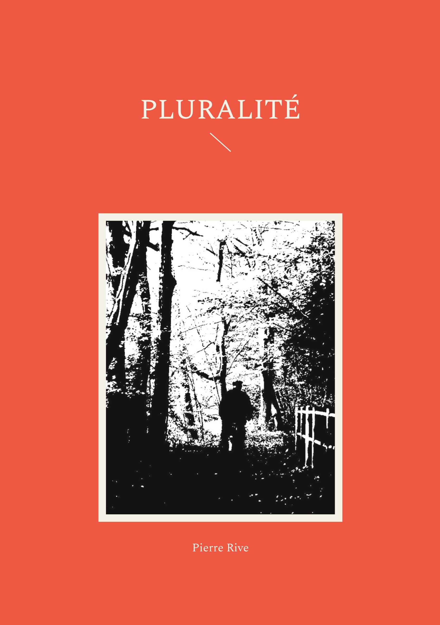 Vorderes Coverbild Pluralité