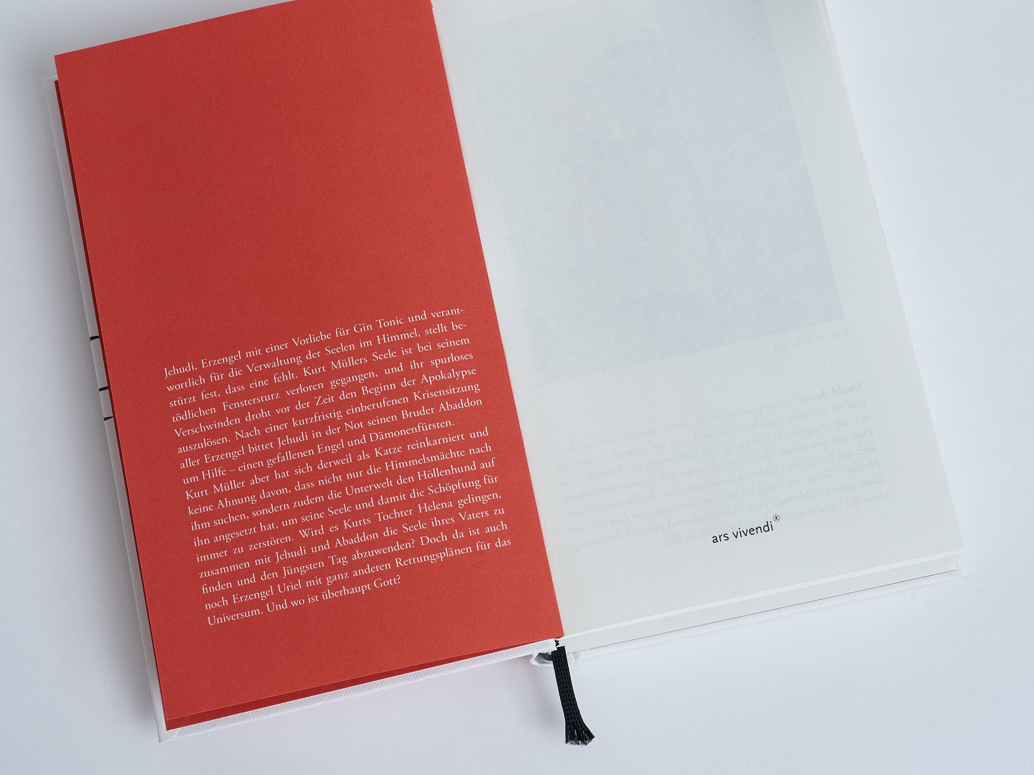 Beispielinhalt (Bild) Herr Müller, die verrückte Katze und Gott (Erfolgsausgabe)