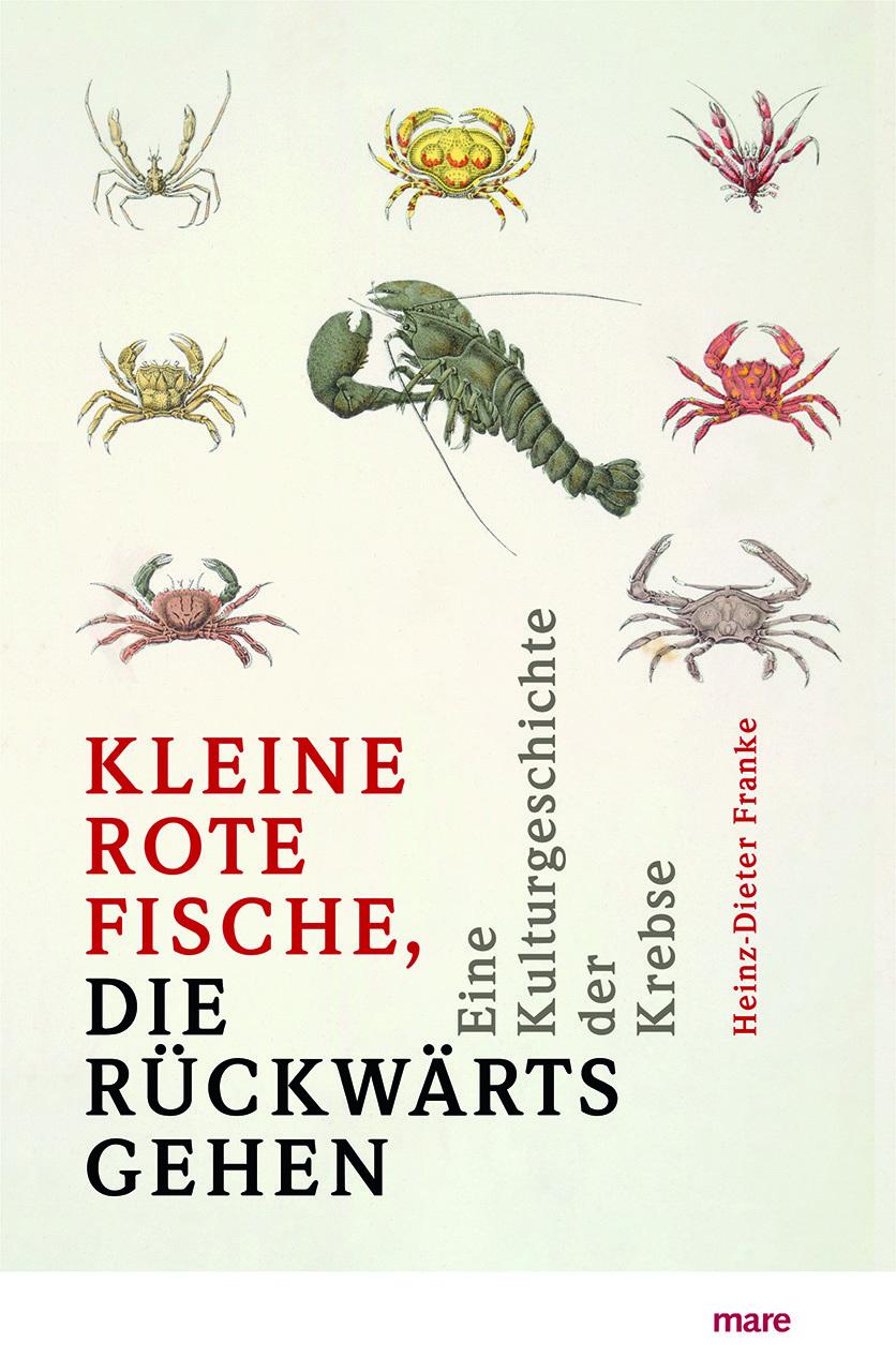 Vorderes Coverbild 'Kleine rote Fische, die rückwärtsgehen'