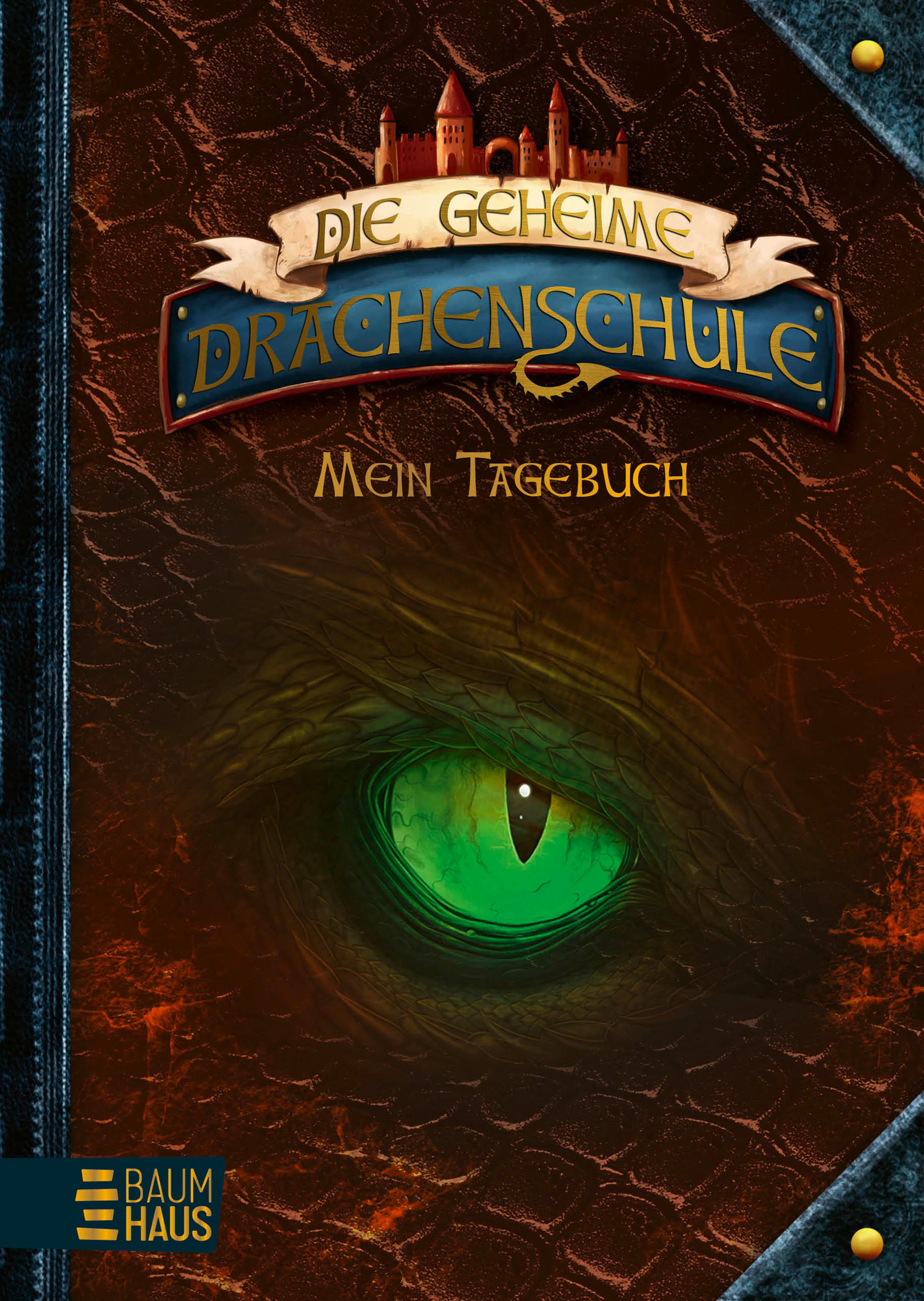 Vorderes Coverbild Die geheime Drachenschule - Mein Tagebuch