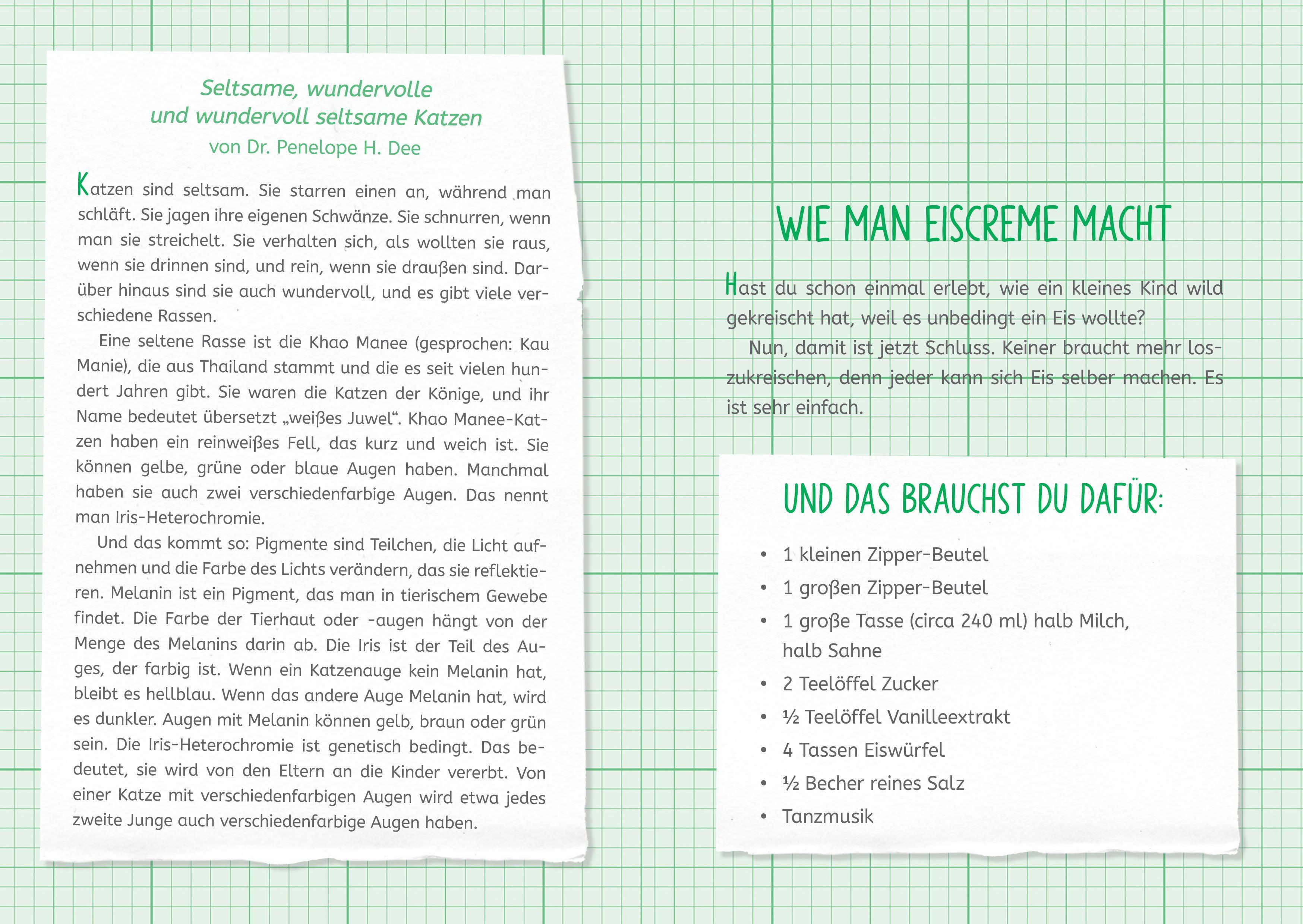 Beispielinhalt (Bild) Die Forscherbande: Iggy Peck und das Geheimnis der alten Villa