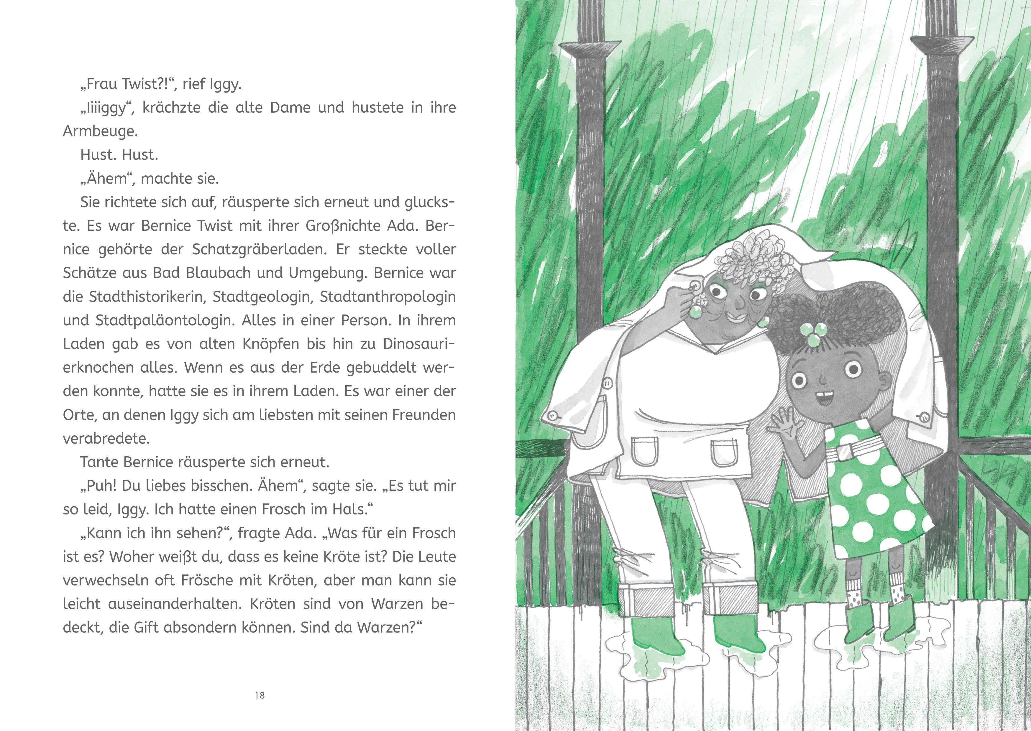 Beispielinhalt (Bild) Die Forscherbande: Iggy Peck und das Geheimnis der alten Villa