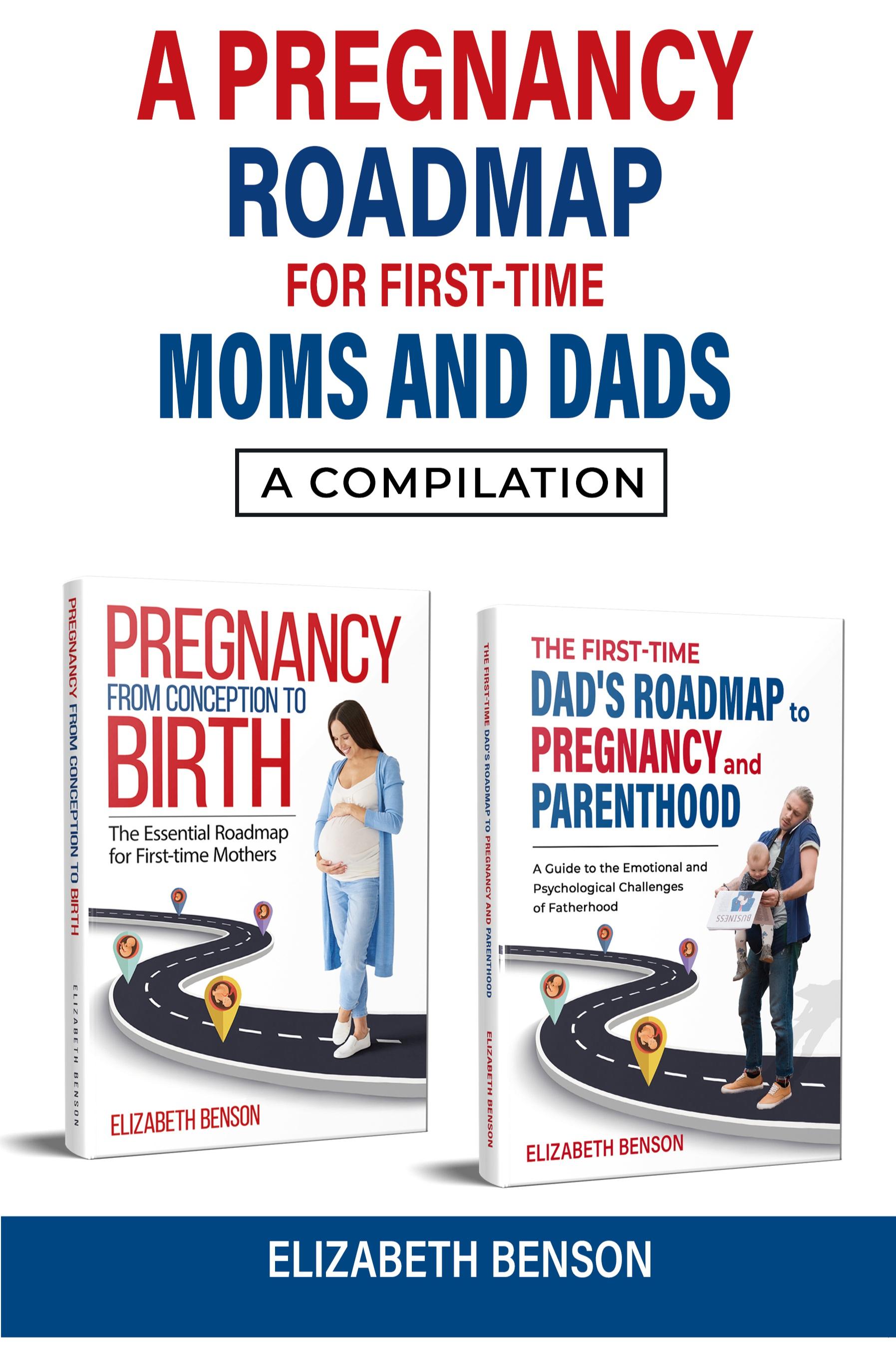 Vorderes Coverbild A Pregnancy Roadmap for First-Time Moms and Dads
