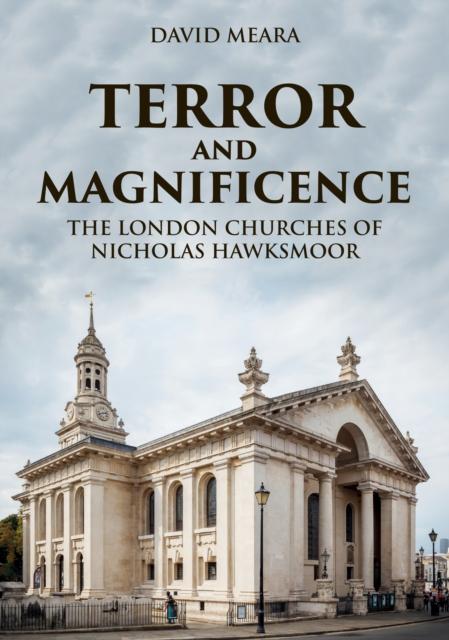 Vorderes Coverbild Terror and Magnificence