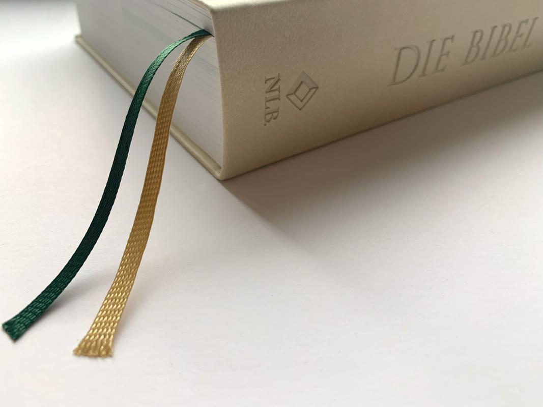 Beispielinhalt (Bild) Die Bibel mit Impulsen von Joyce Meyer, Kunstlederausgabe