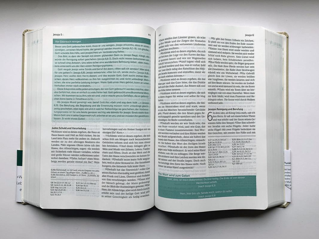 Beispielinhalt (Bild) Die Bibel mit Impulsen von Joyce Meyer, Kunstlederausgabe