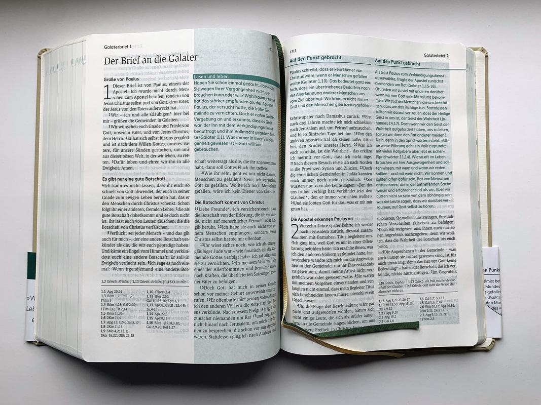 Beispielinhalt (Bild) Die Bibel mit Impulsen von Joyce Meyer, Kunstlederausgabe