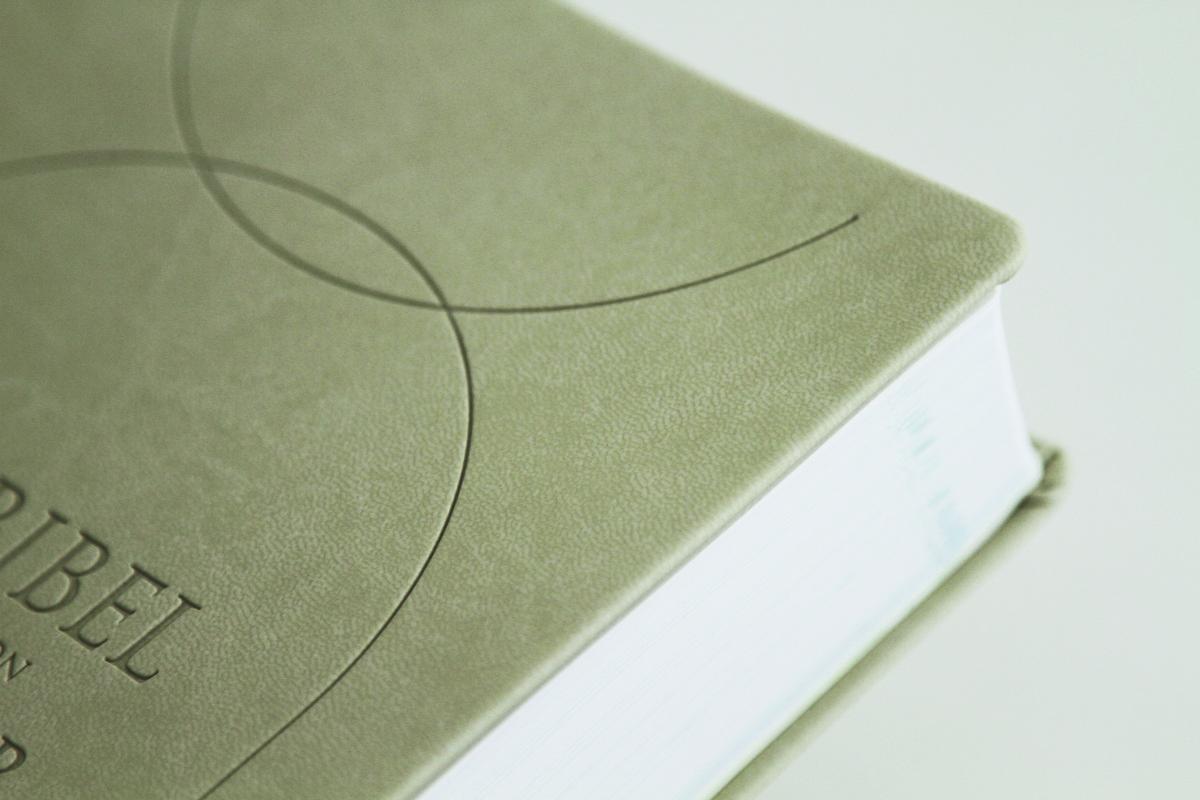 Beispielinhalt (Bild) Die Bibel mit Impulsen von Joyce Meyer, Kunstlederausgabe