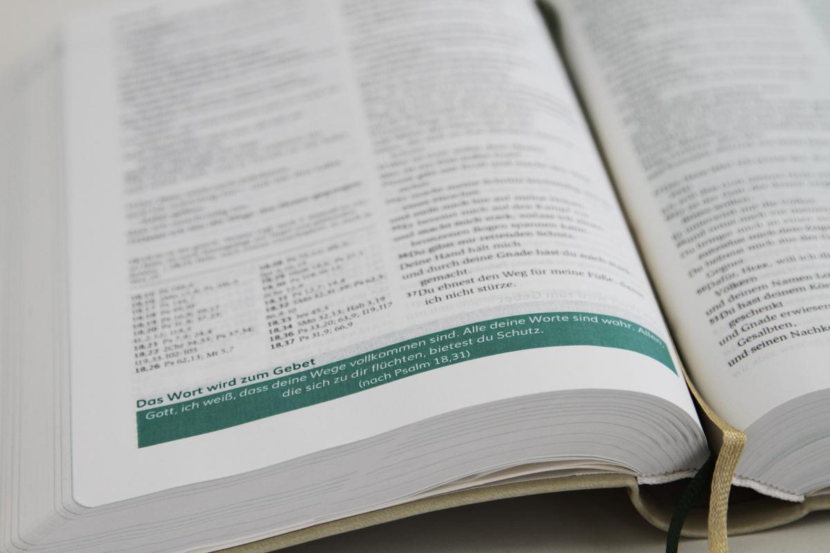 Beispielinhalt (Bild) Die Bibel mit Impulsen von Joyce Meyer, Kunstlederausgabe