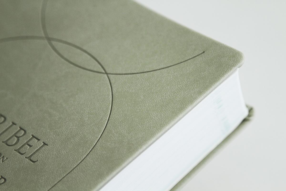 Beispielinhalt (Bild) Die Bibel mit Impulsen von Joyce Meyer, Kunstlederausgabe