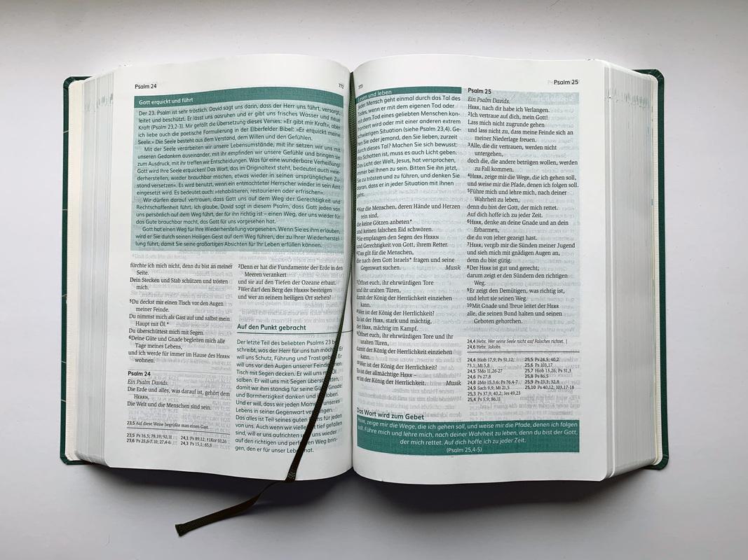 Beispielinhalt (Bild) Die Bibel mit Impulsen von Joyce Meyer