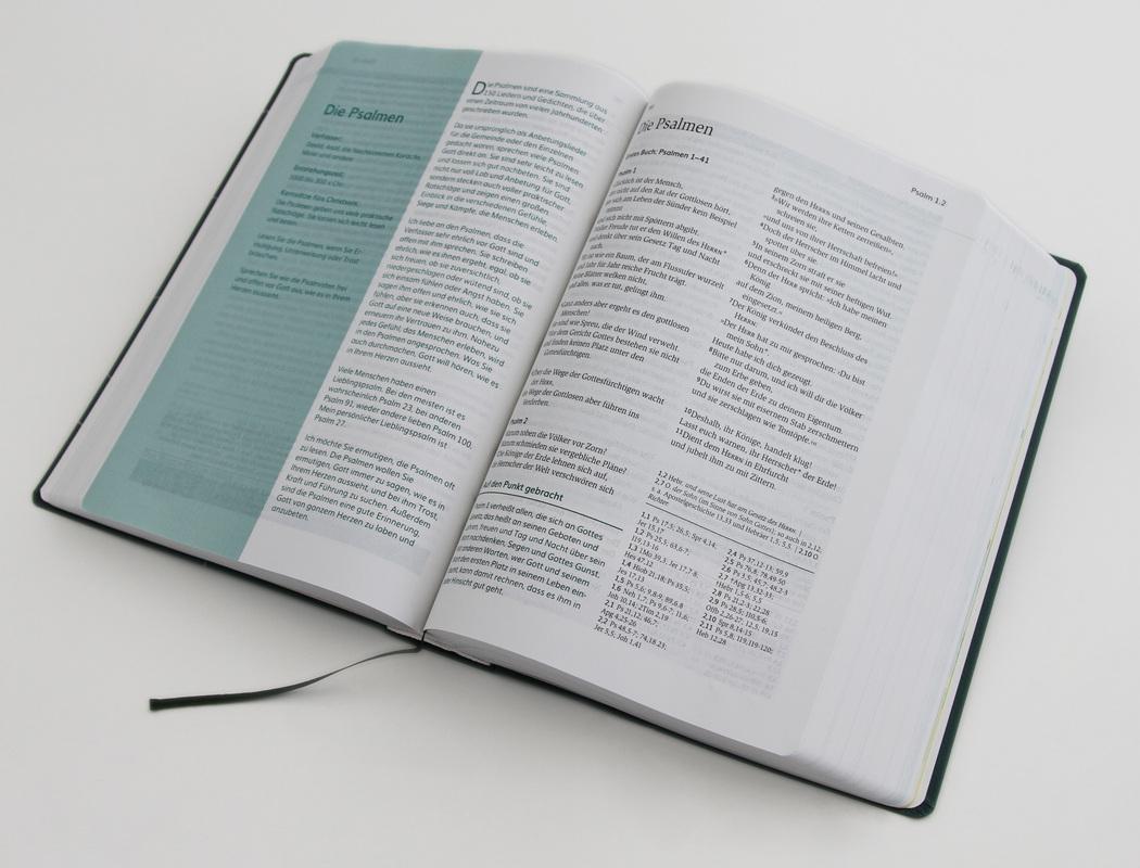 Beispielinhalt (Bild) Die Bibel mit Impulsen von Joyce Meyer