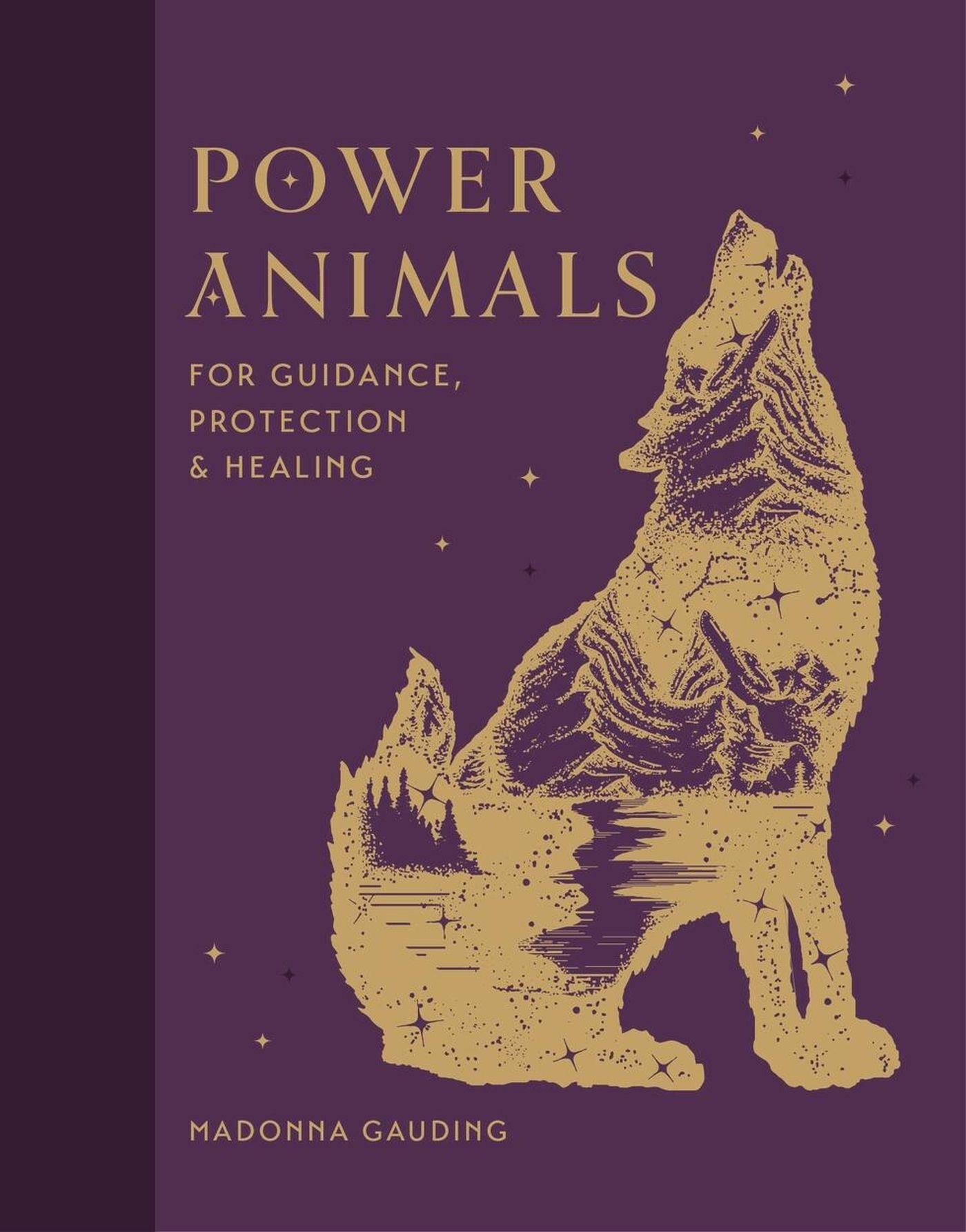 Vorderes Coverbild Power Animals