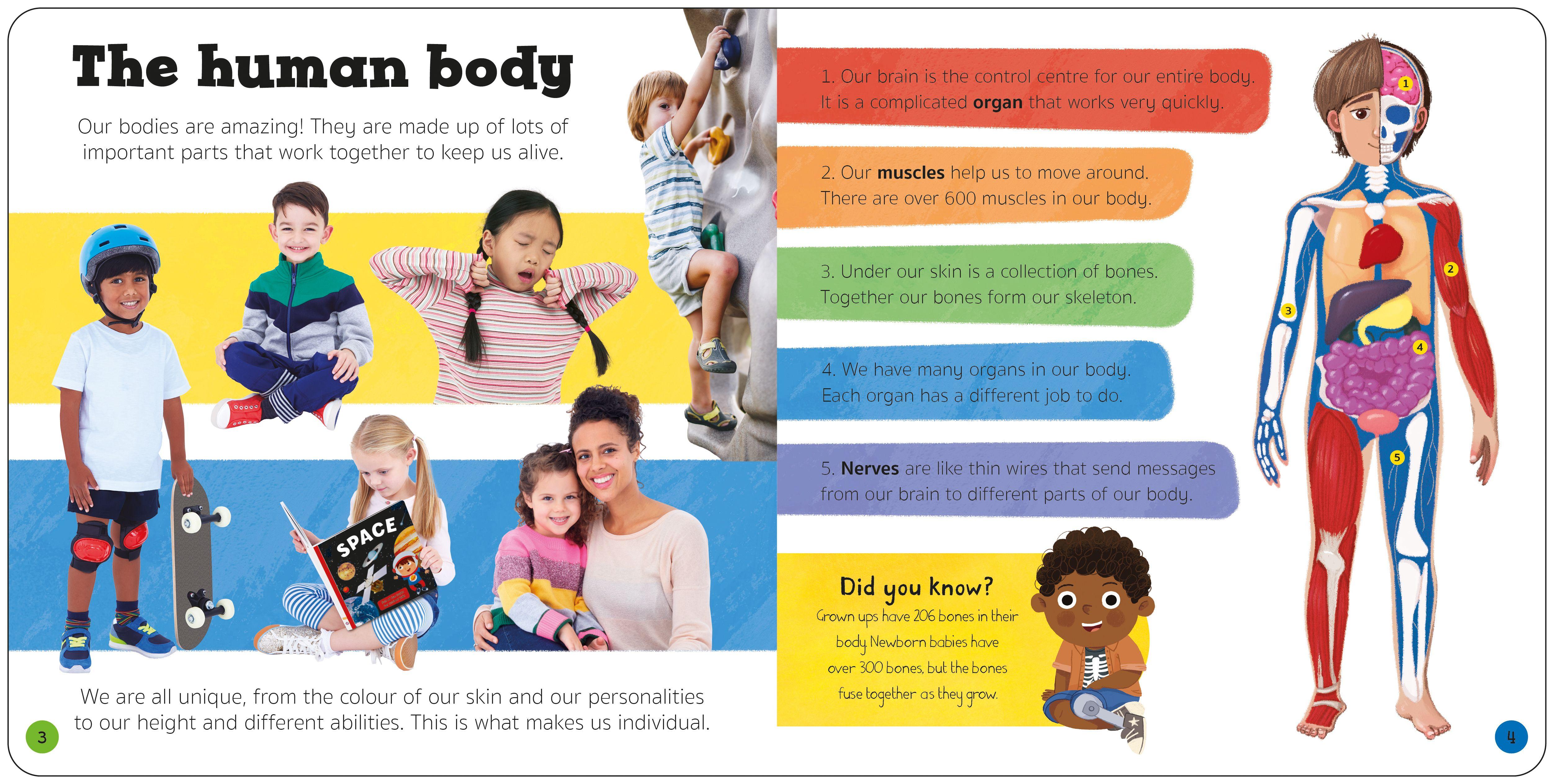 Beispielinhalt (Bild) Priddy Explorers Human Body