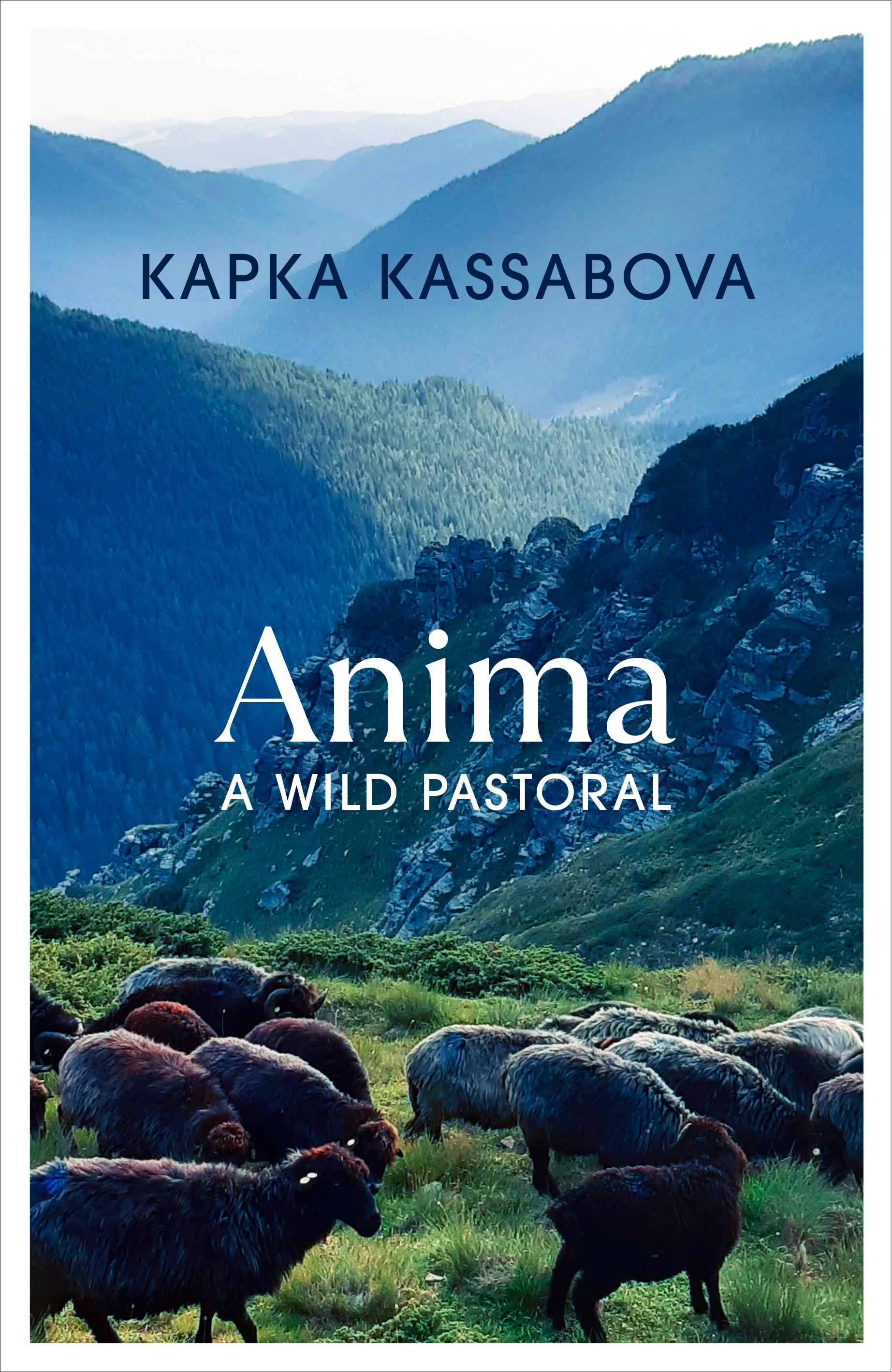 Vorderes Coverbild Anima