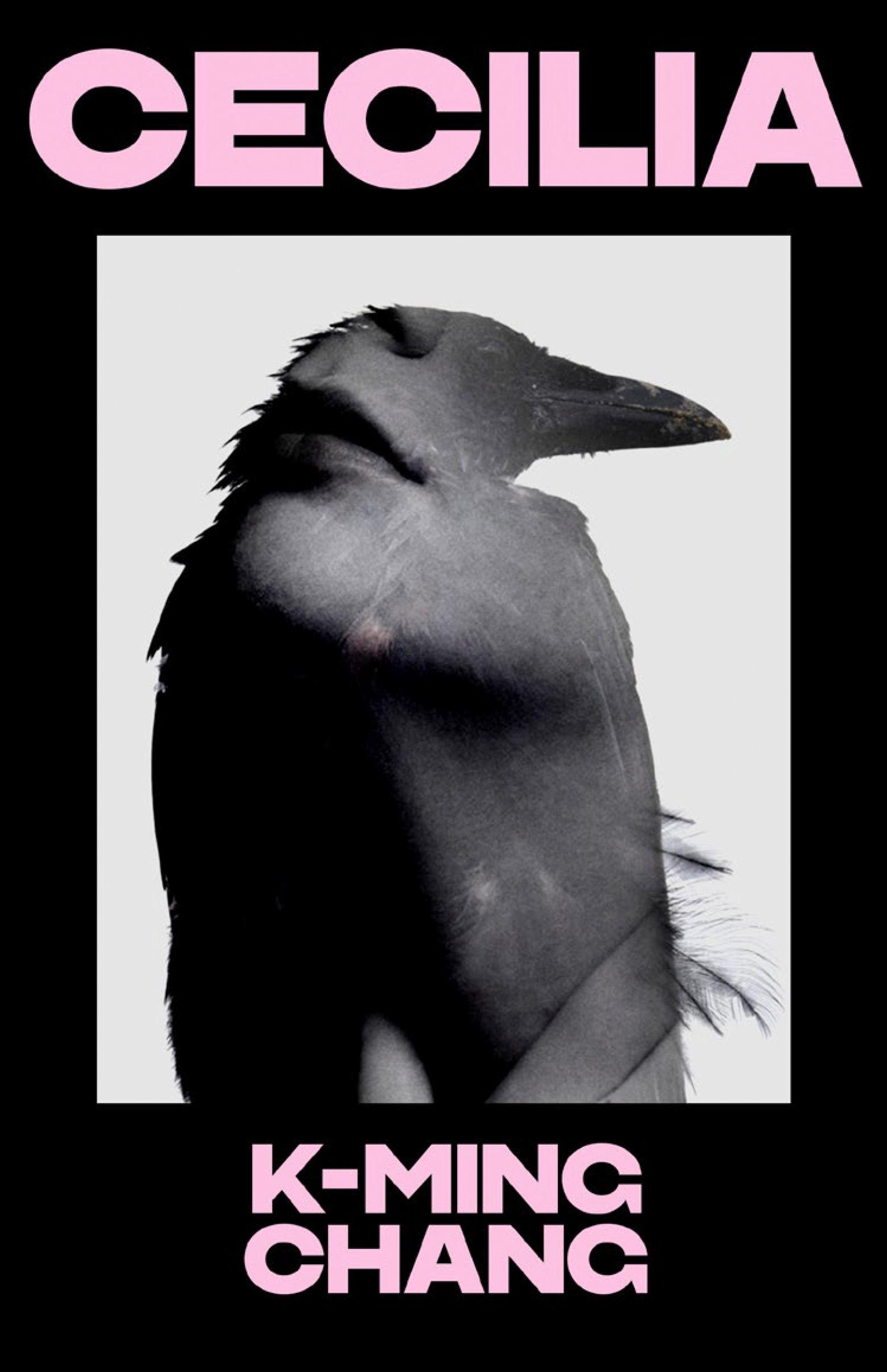 Vorderes Coverbild Cecilia